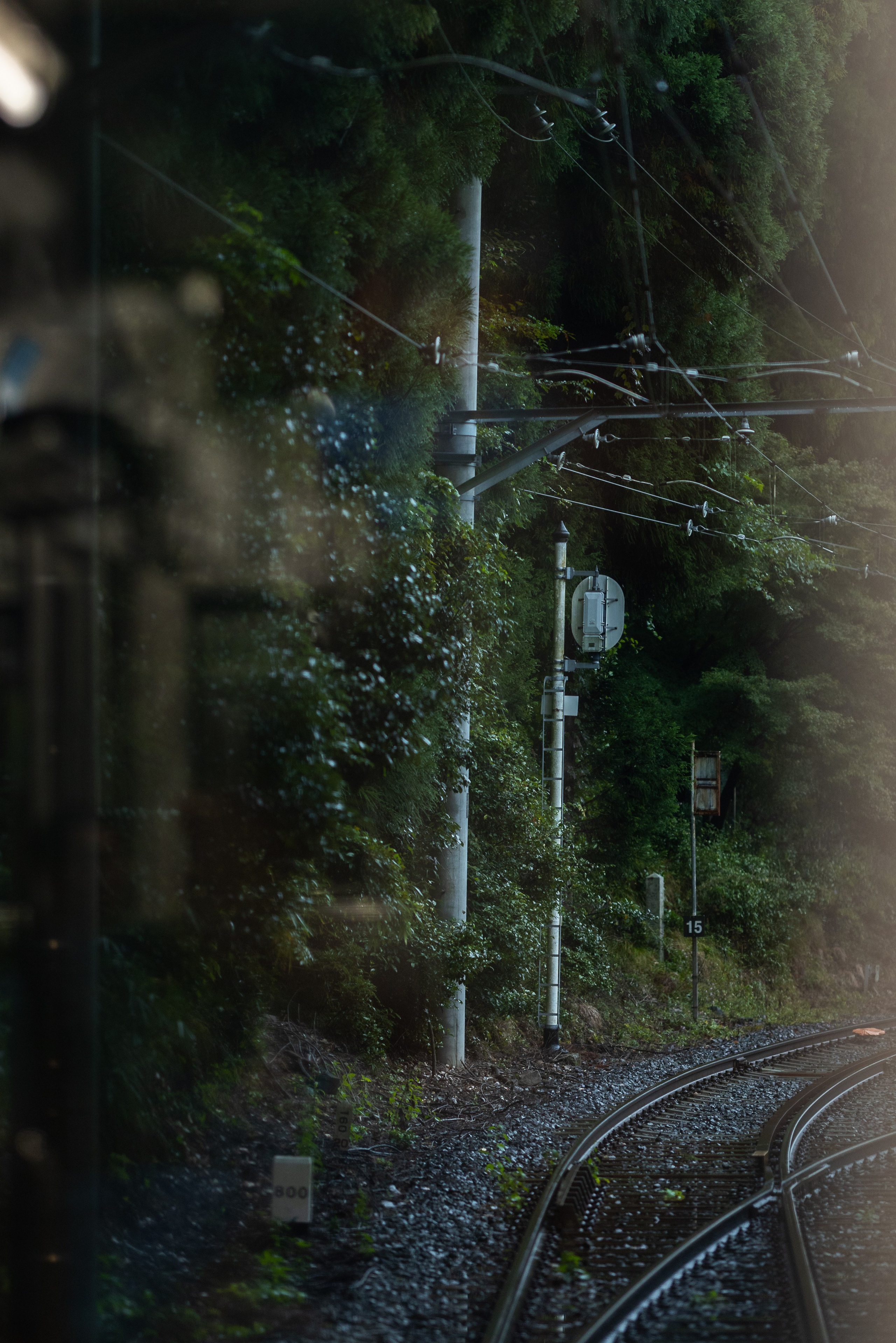 TRAVEL. Студийный и свадебный фотограф в Грозном Махашев Харон