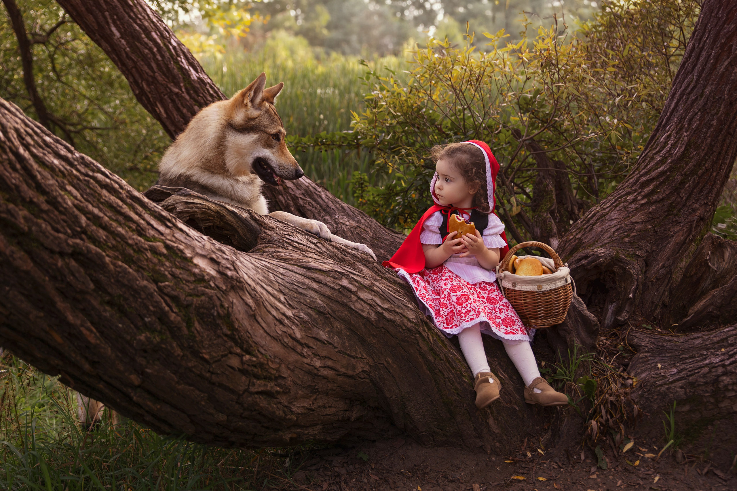 История невероятно храброй и милой Красной шапочки). Трубинова Екатерина | Семейный фотограф | Москва