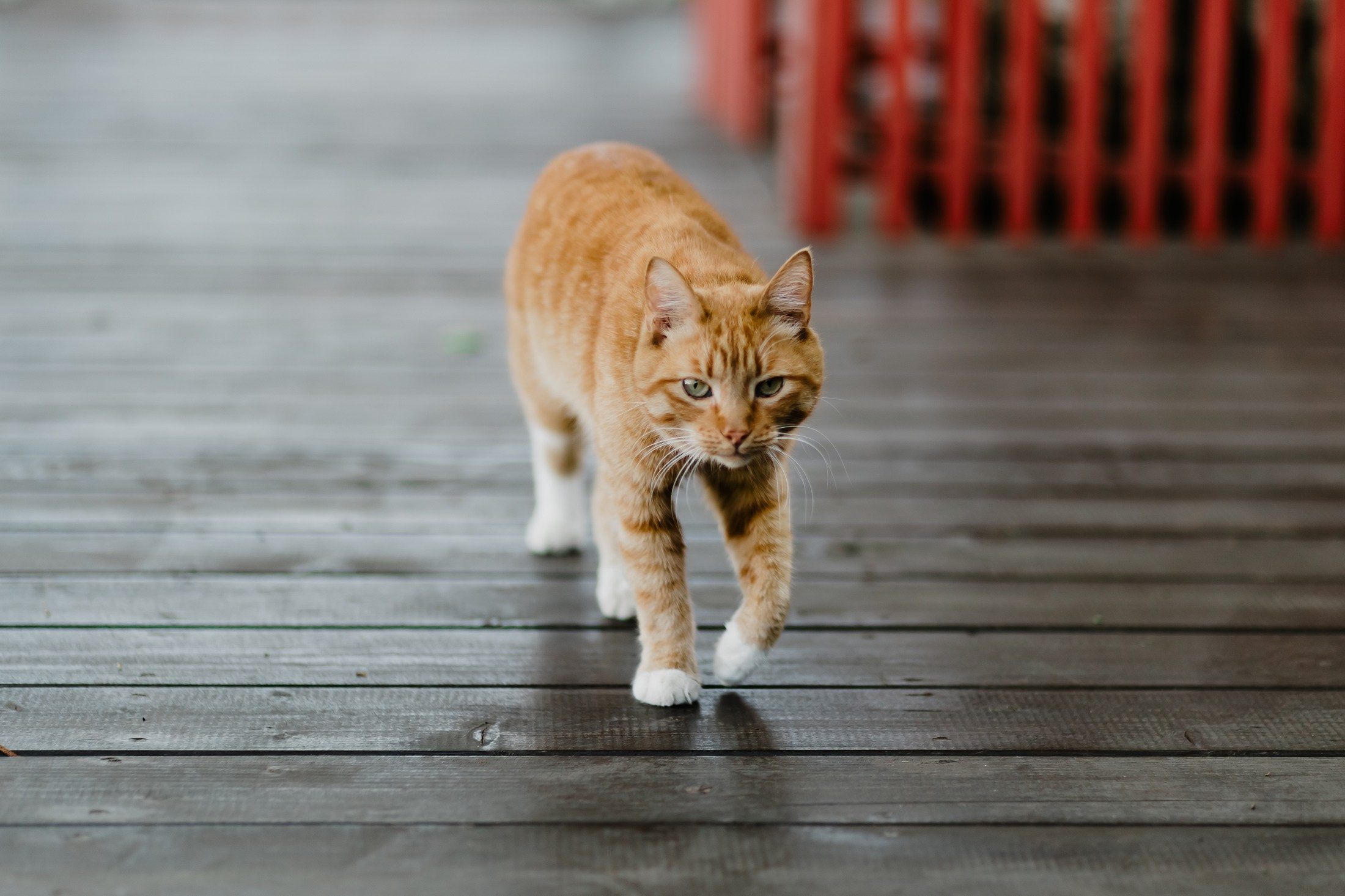 СОЮЗ-М. Фотограф Москва Владимир Филин