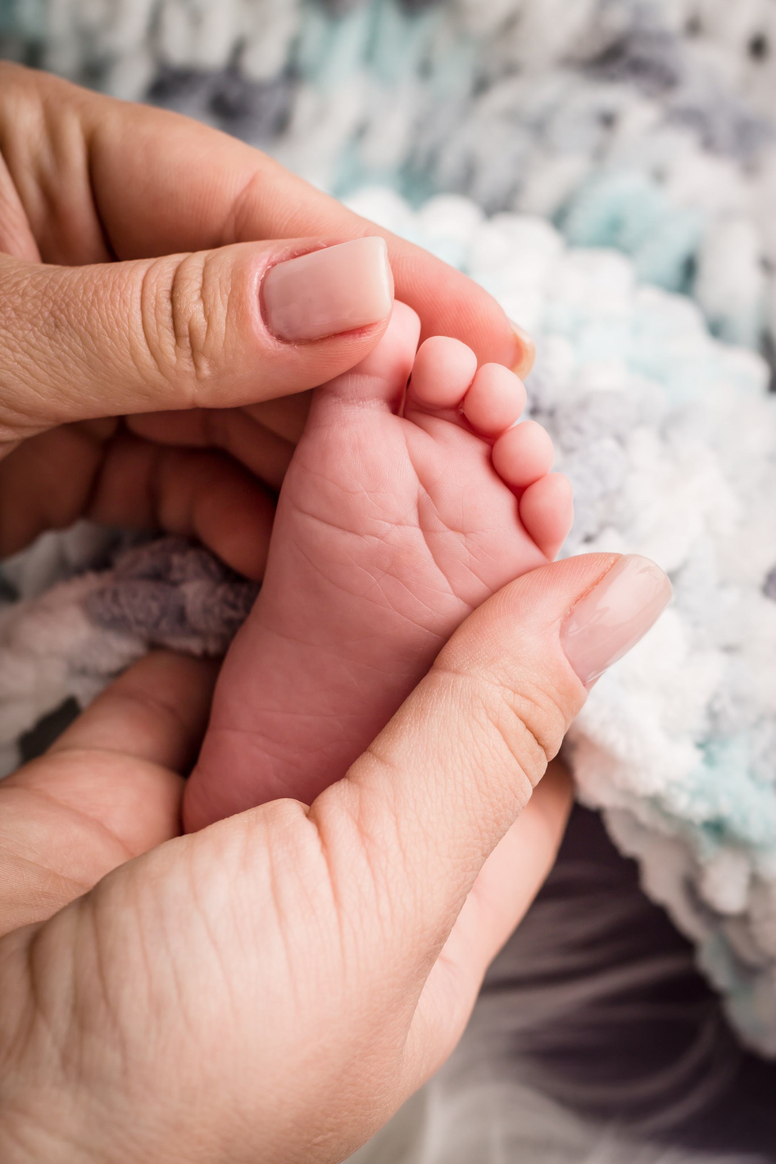 Newborn. Photograper Israel/фотограф Израиль. ALINA TARAN