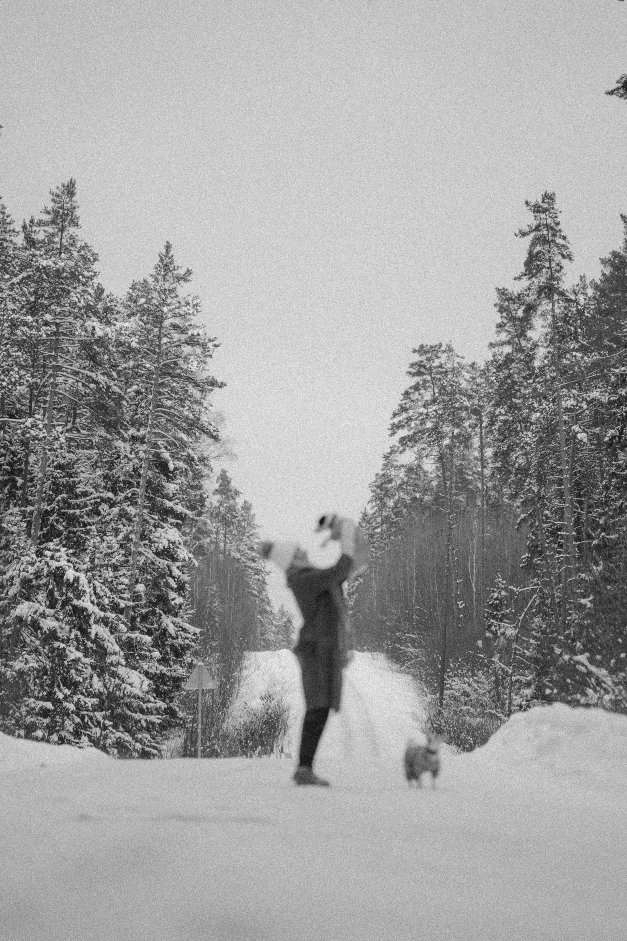 Алина, Ваниль и Элис. Фотограф анималист в Москве и Санкт-Петербурге Свиридова Анна