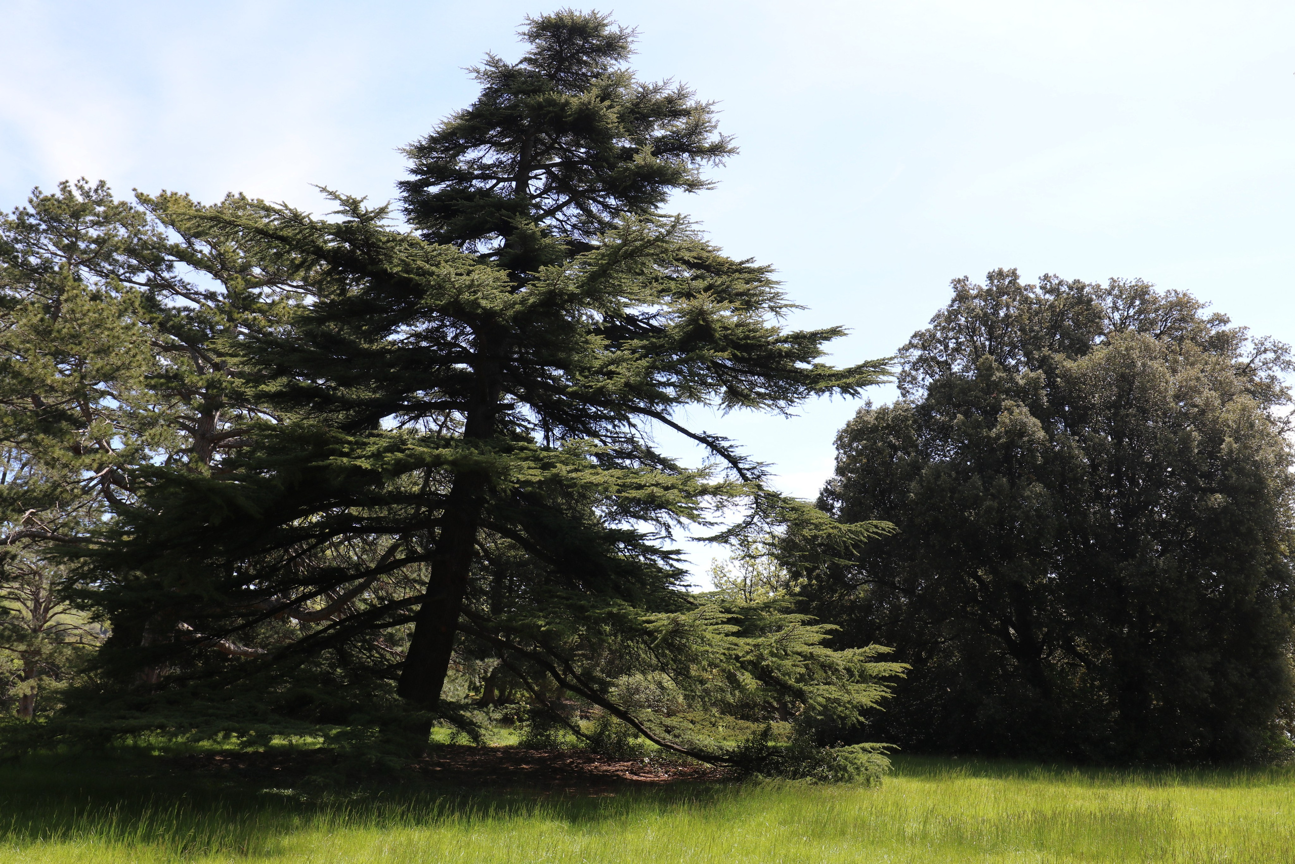 Крым. ЮБК (Бахчисарай, Кастрополь, Таракташская тропа). Май 2021. Путешественник-фотограф из Санкт-Петербурга Татьяна Свистулина