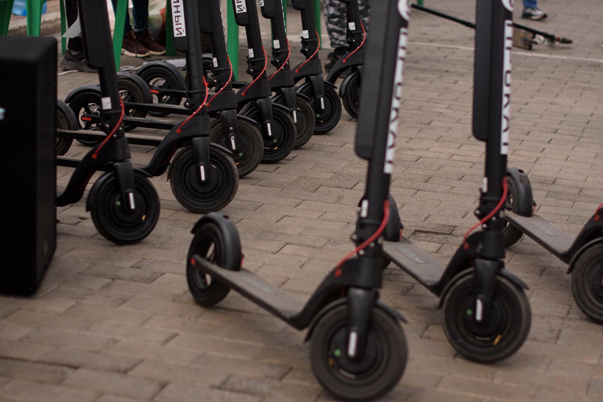 «День защиты детей». Evgeniy Roslov