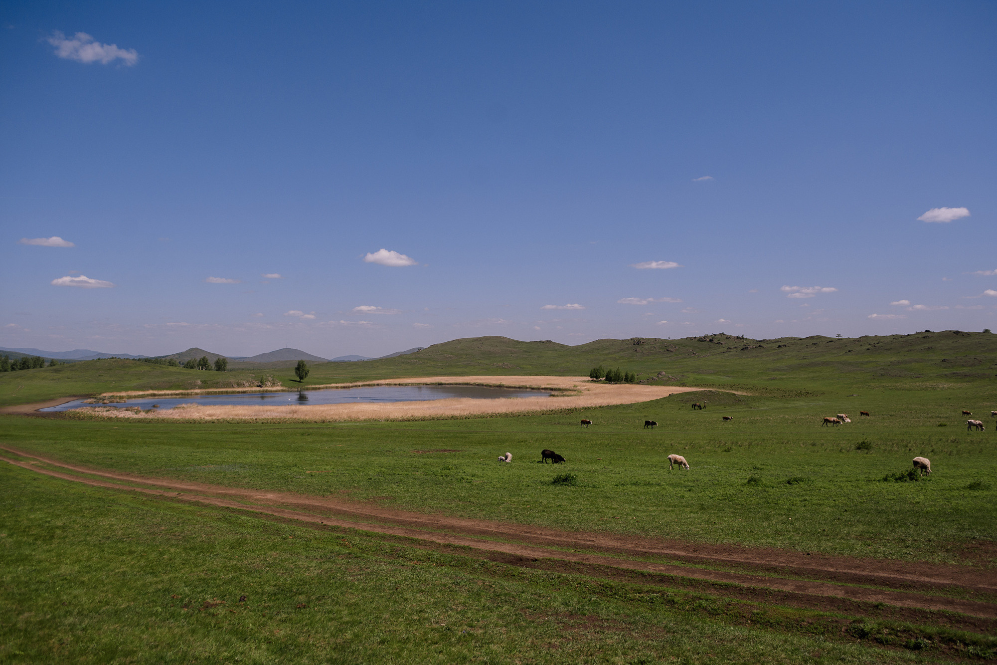 Отзыв. Evgeniy Roslov