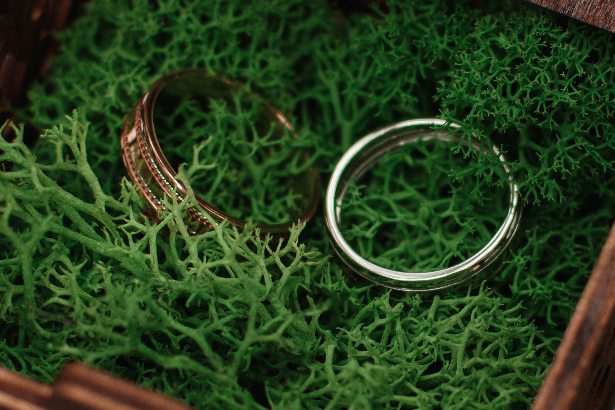 Отзыв. Evgeniy Roslov