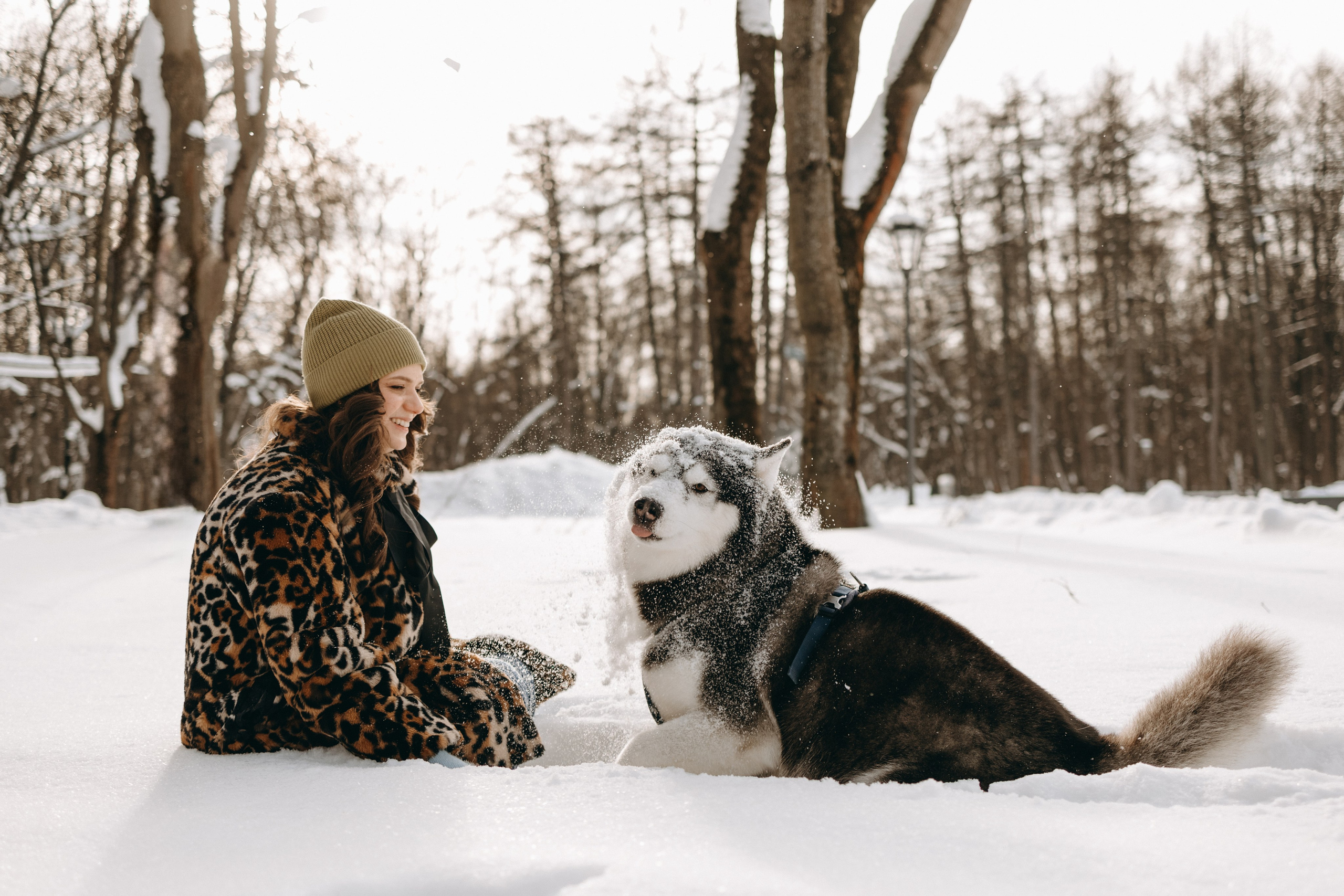 Вегас и его семья. Фотограф — Анималист | Санкт-Петербург