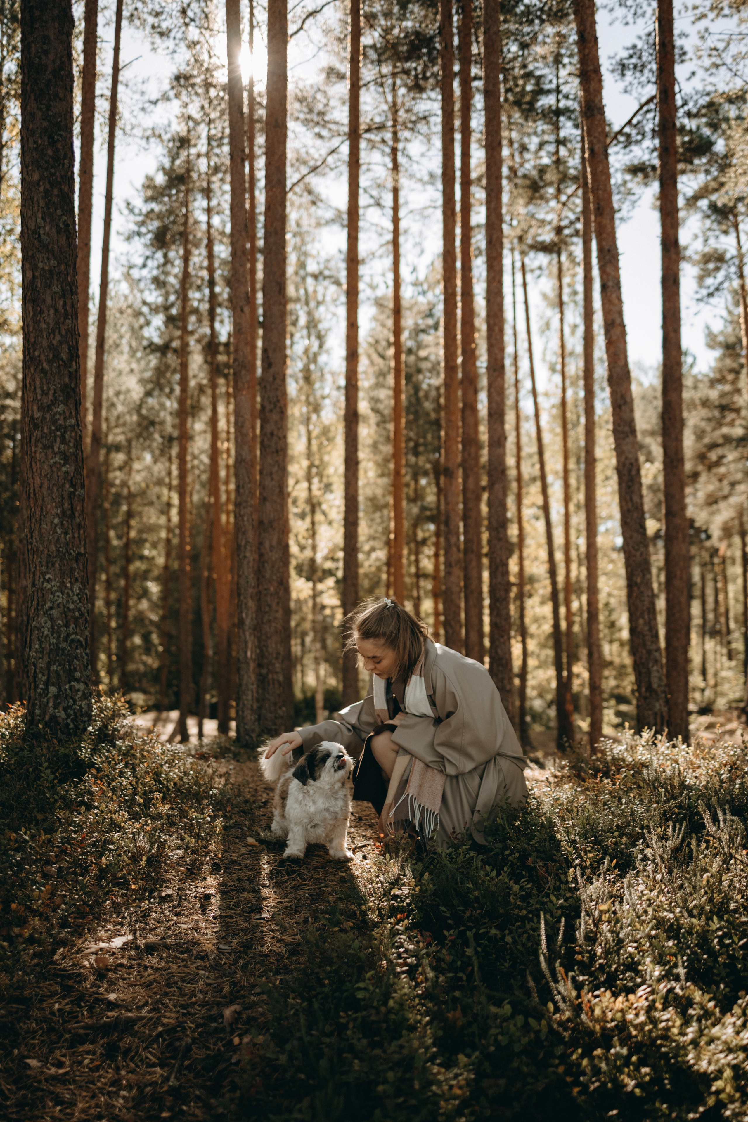 Настя и Франт. Фотограф — Анималист | Санкт-Петербург