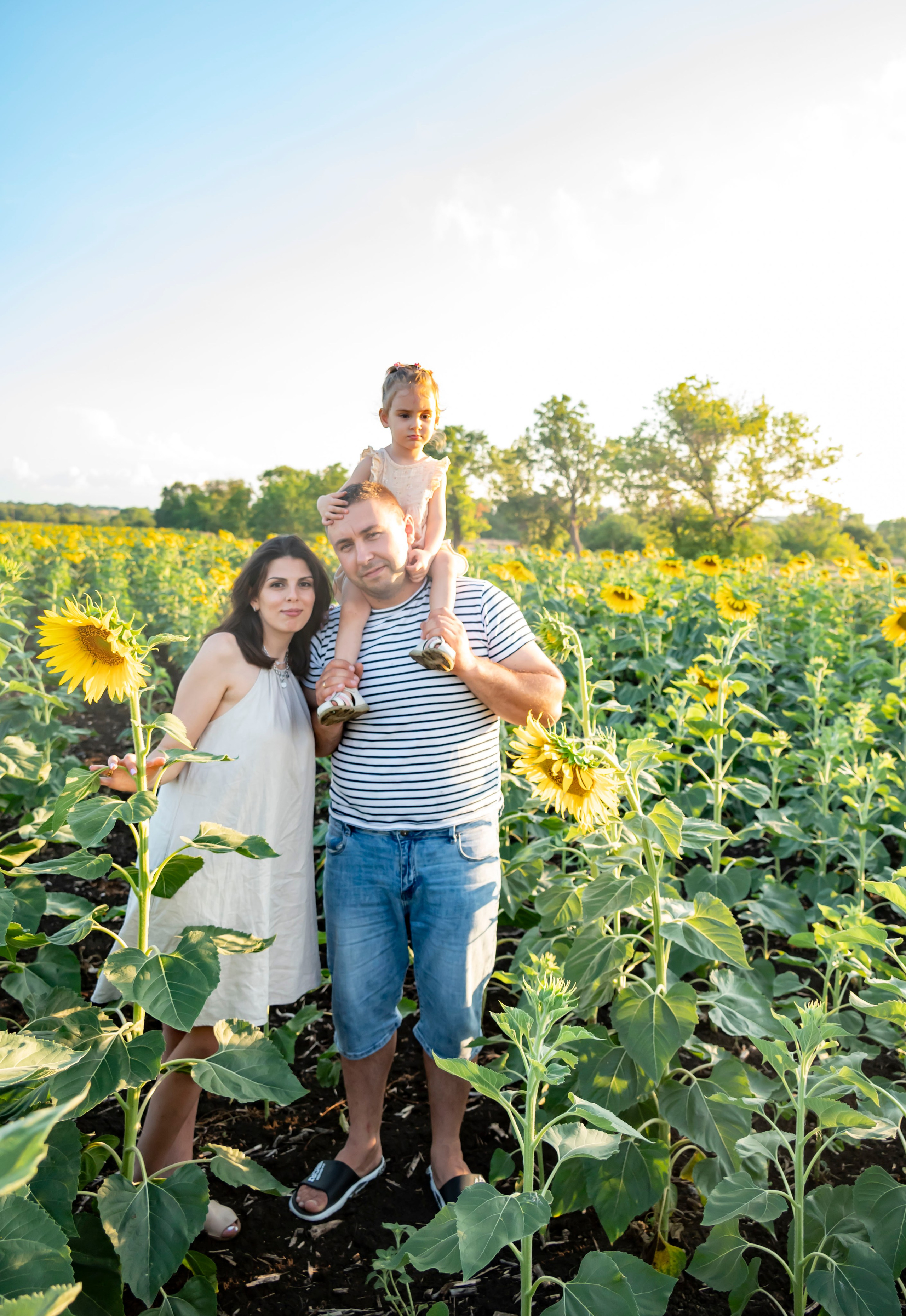 Летняя прогулка. Главная