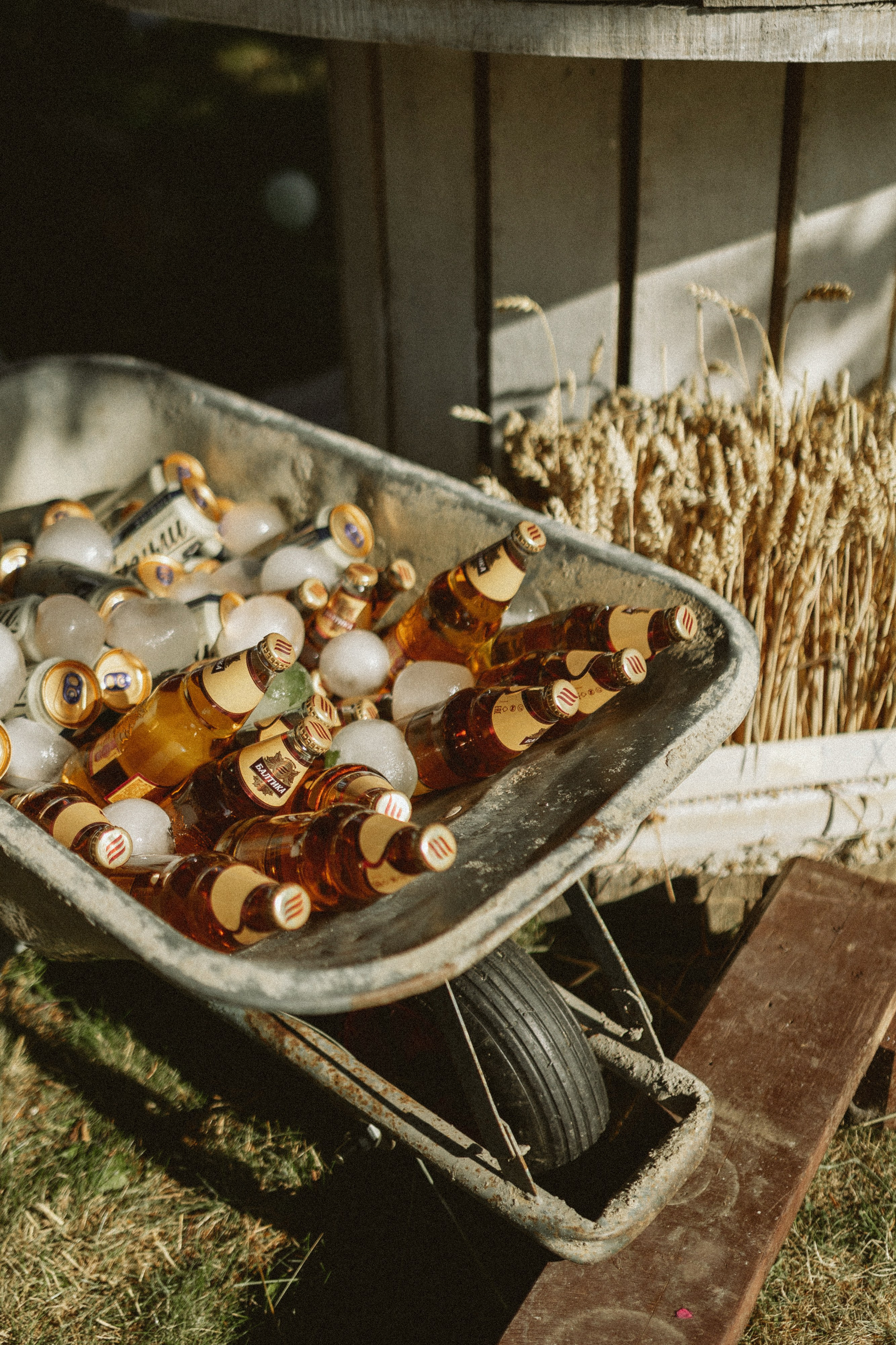«Деревенская свадьба». Свадебный и семейный фотограф в Калининграде Ольга Мешечкова