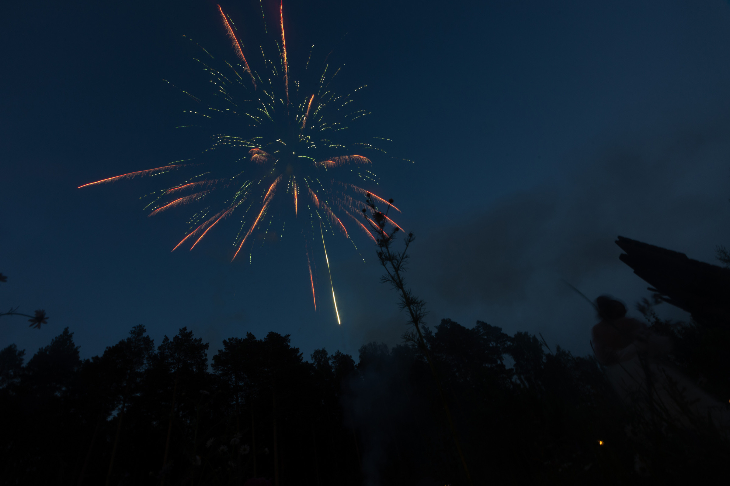 David + Alena. Антон Айрис | Anton Iris — стильно сниму твою свадьбу и депрессию