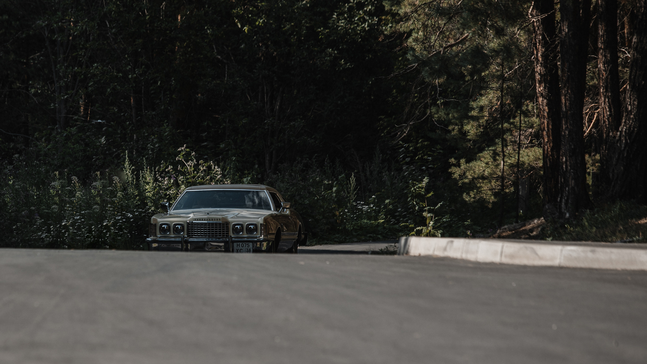 Leo + Liza. Антон Айрис | Anton Iris — стильно сниму твою свадьбу и депрессию