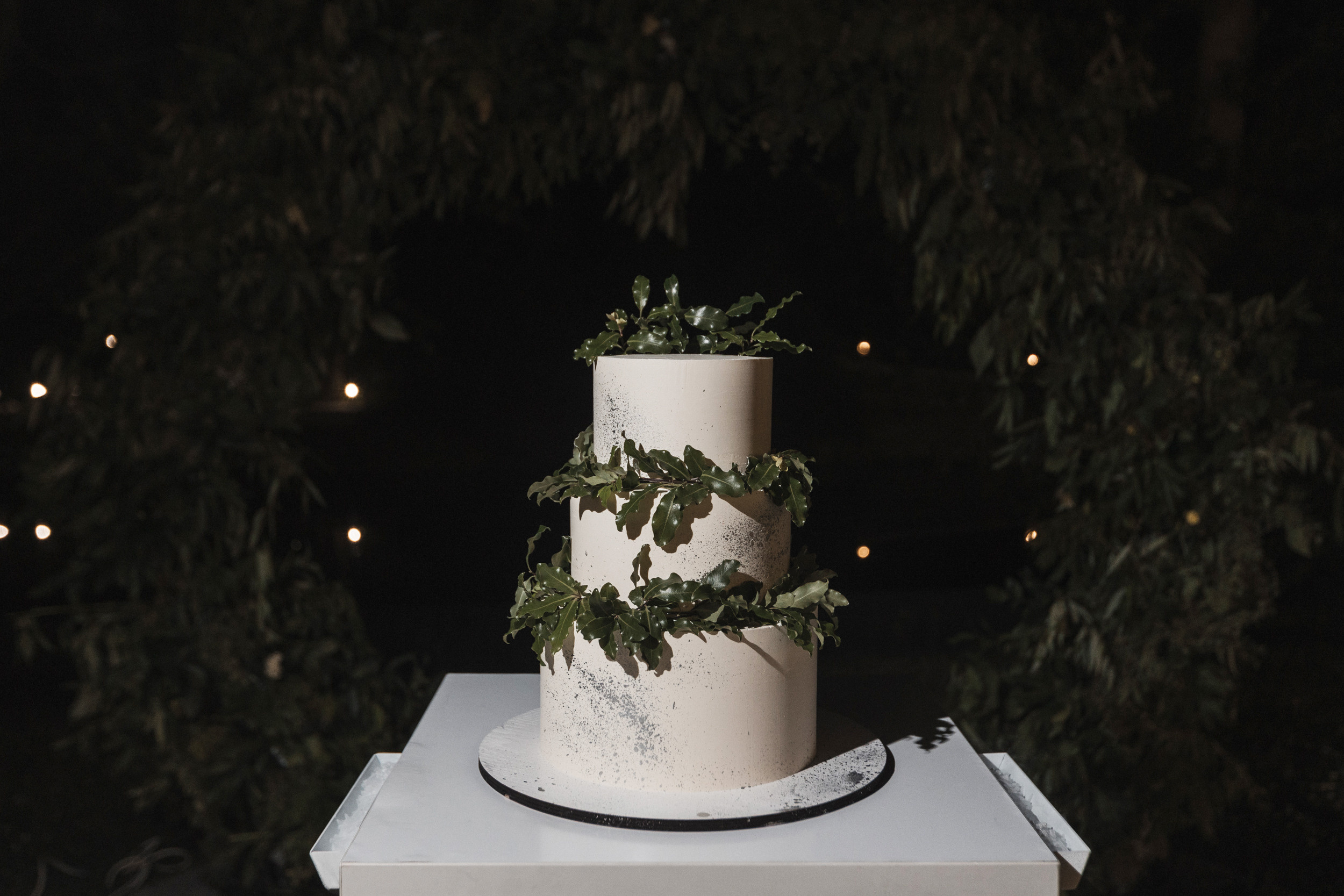 Leo + Liza. Антон Айрис | Anton Iris — стильно сниму твою свадьбу и депрессию