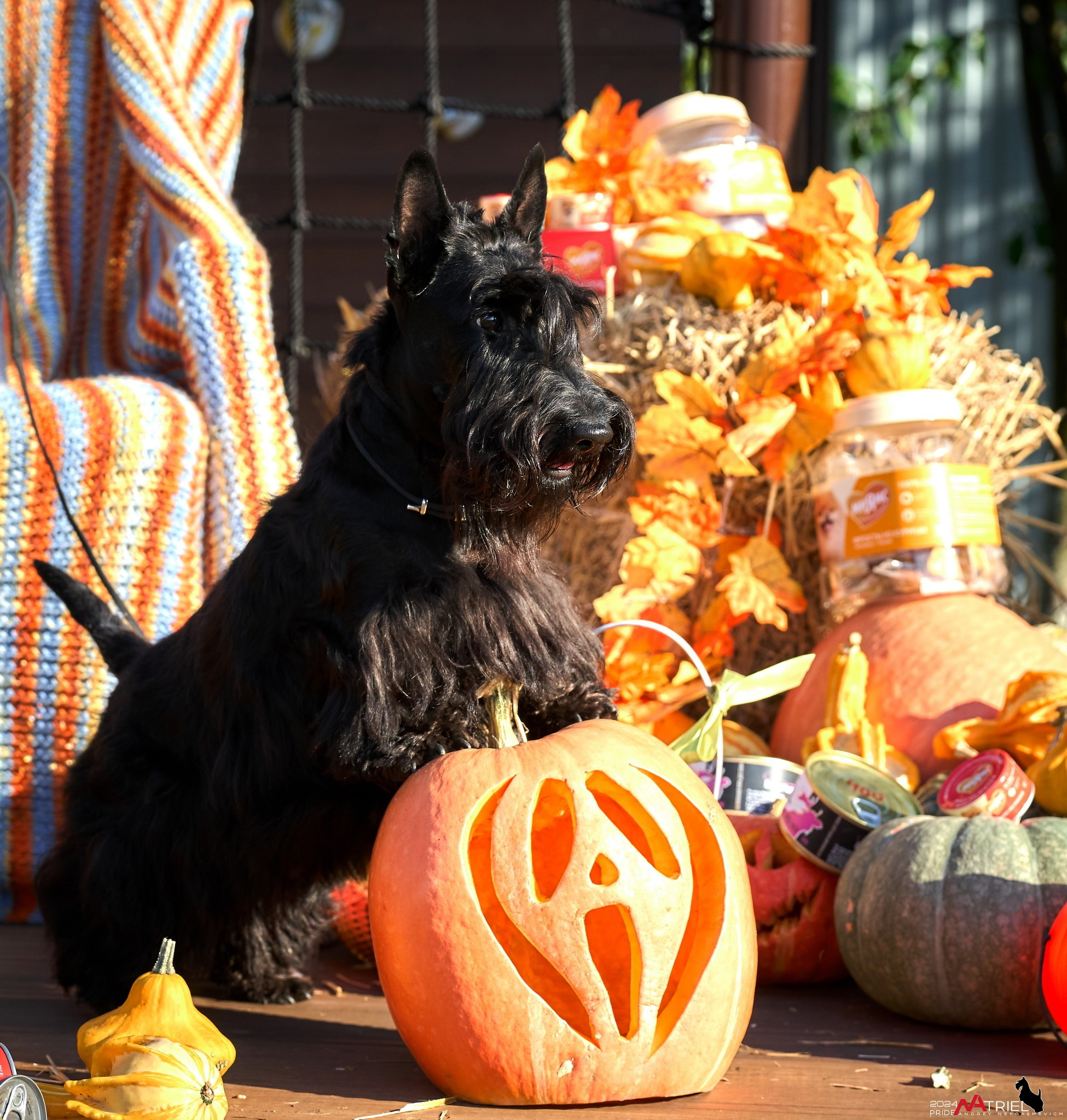 Репортаж со встречи питомника
