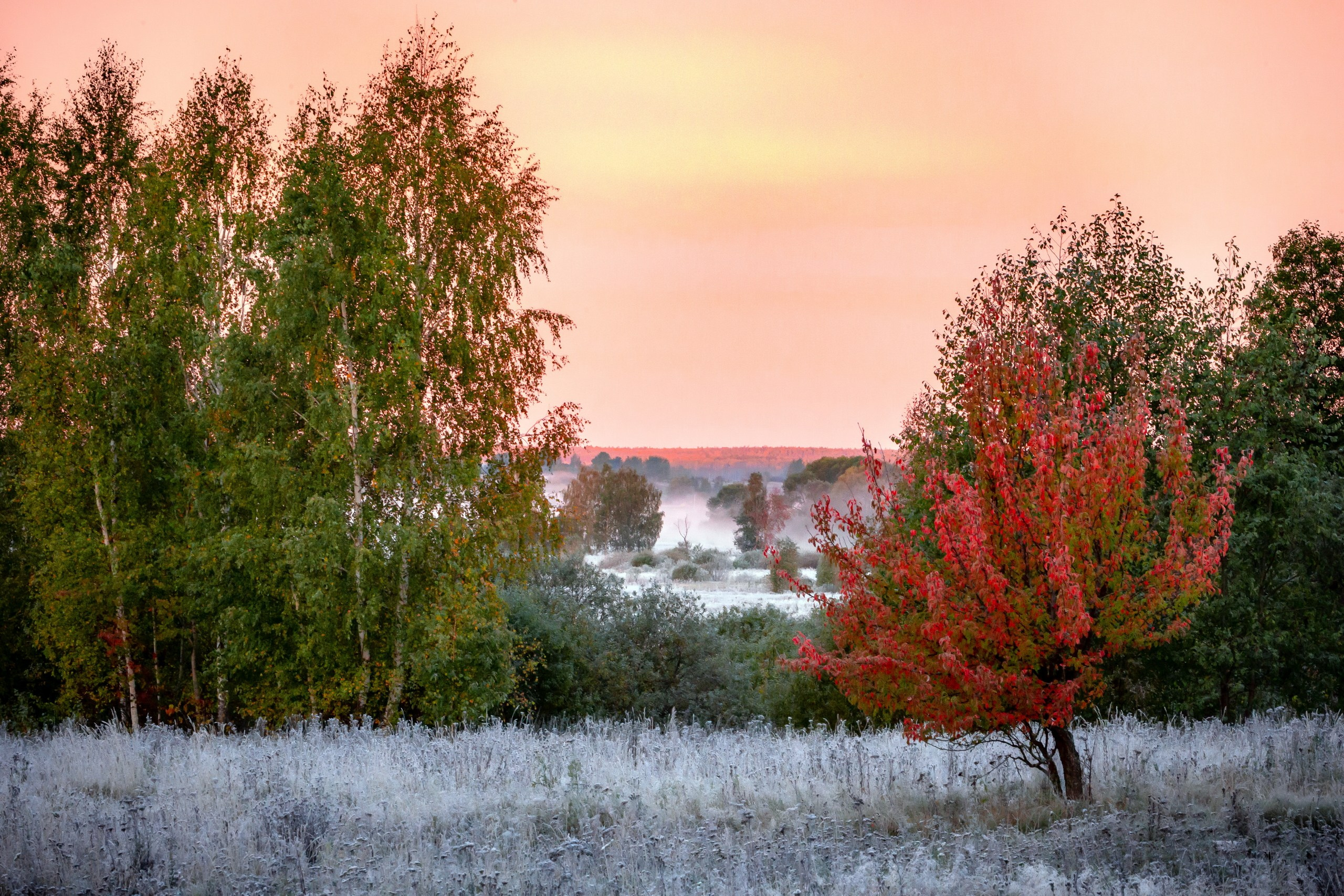 Пейзаж — галерея NATRIEL