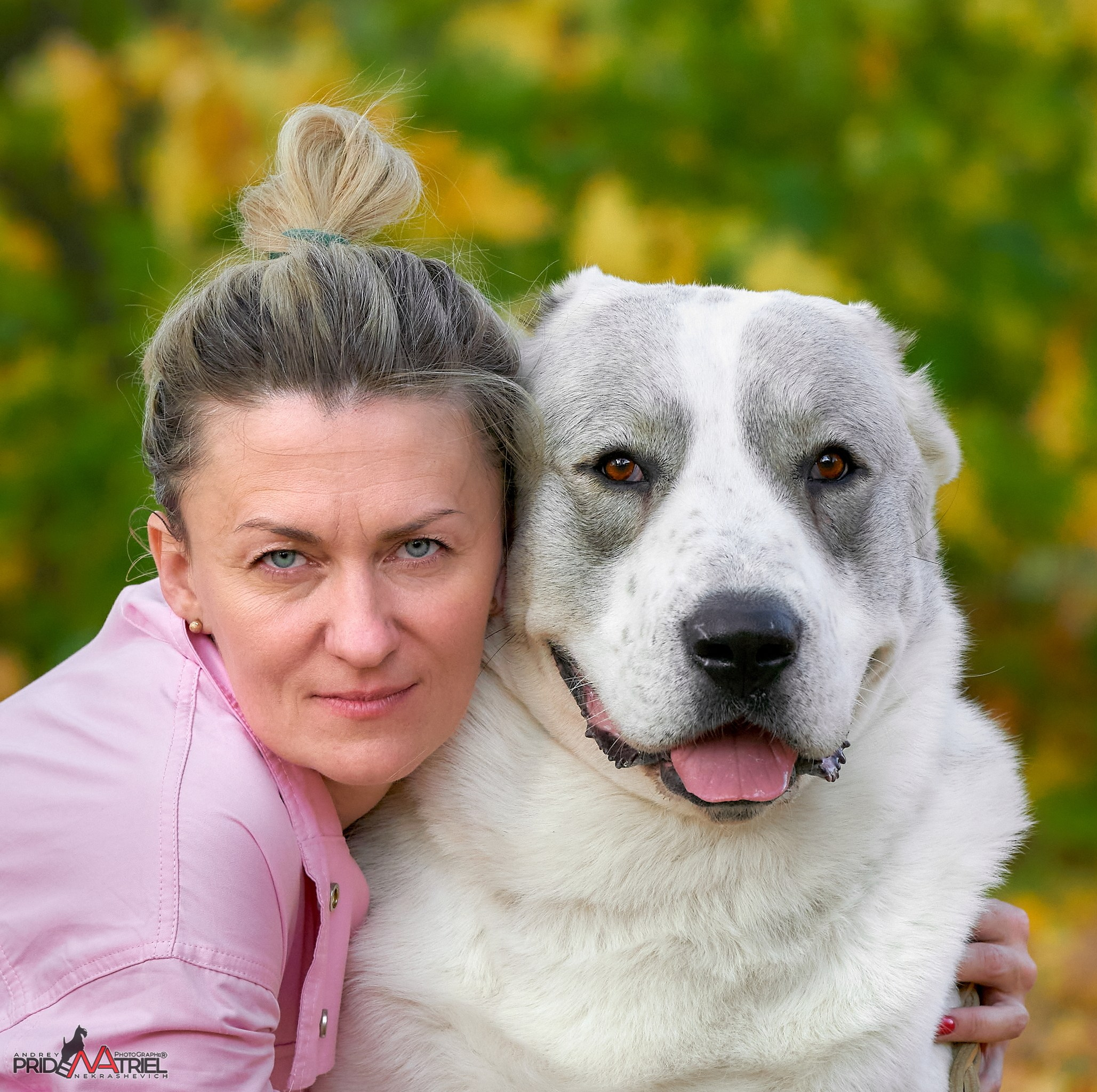 Собаки и Люди — галерея NATRIEL