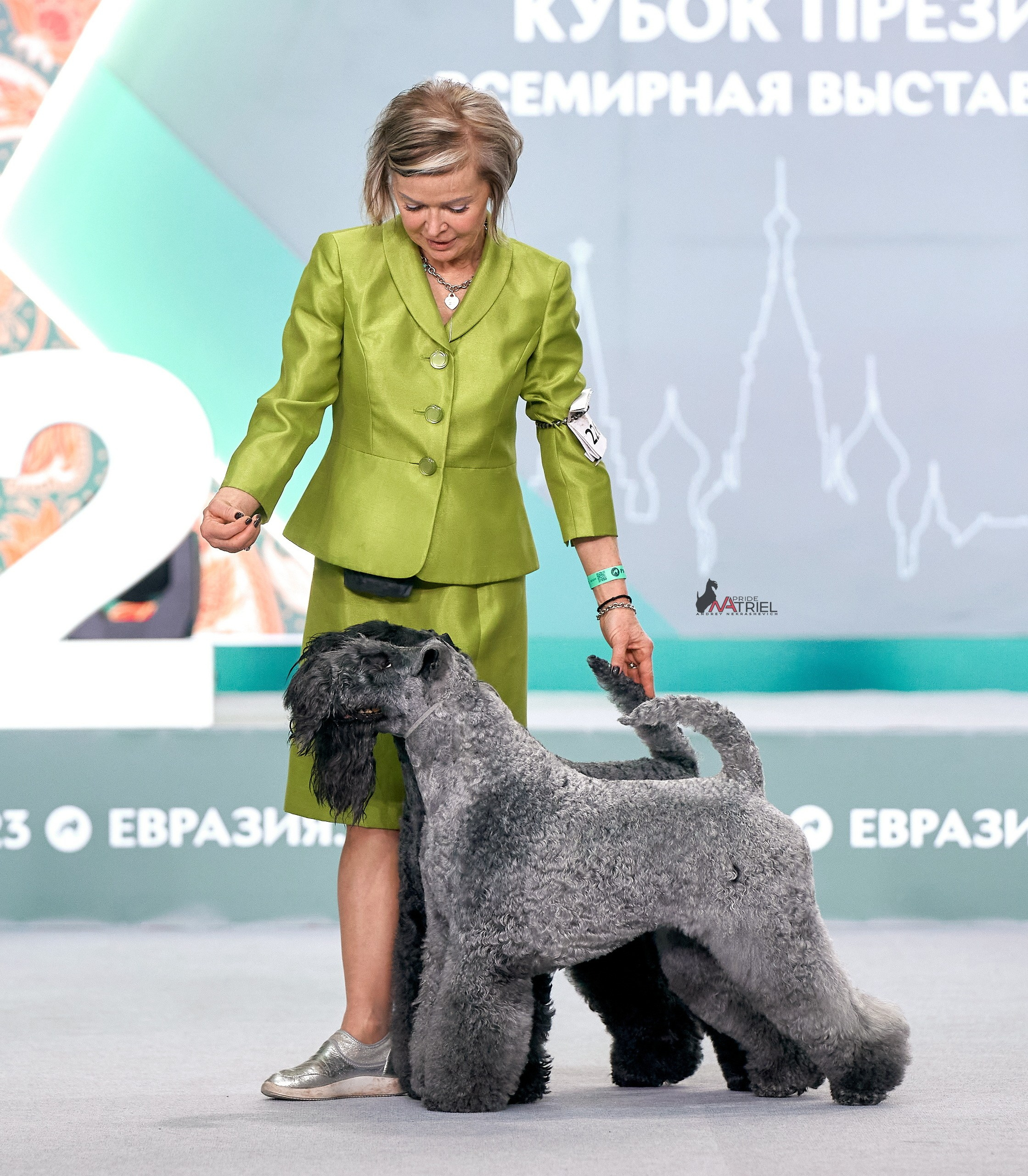 Работа в рингах — галерея NATRIEL