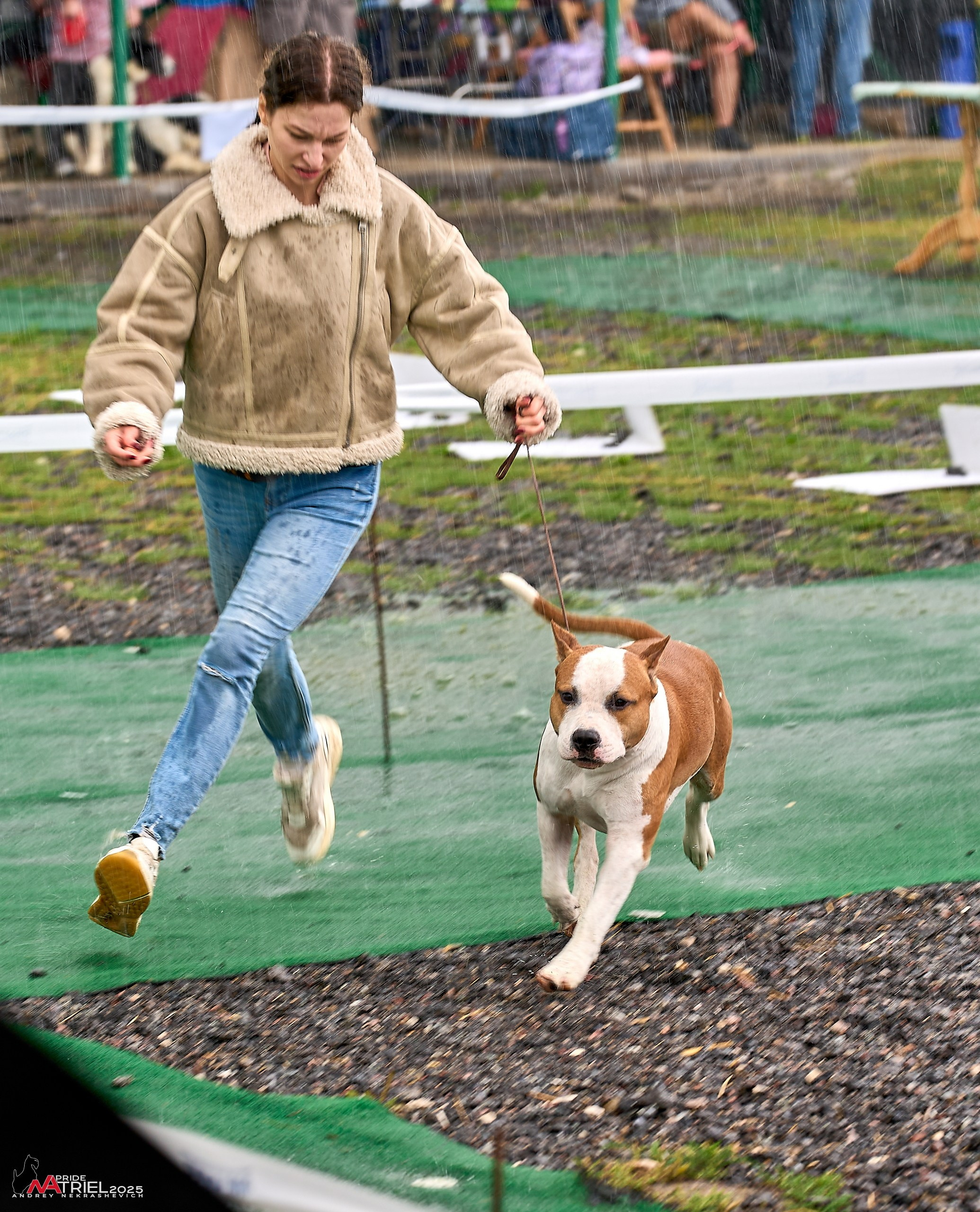 Репортаж с выставки собак