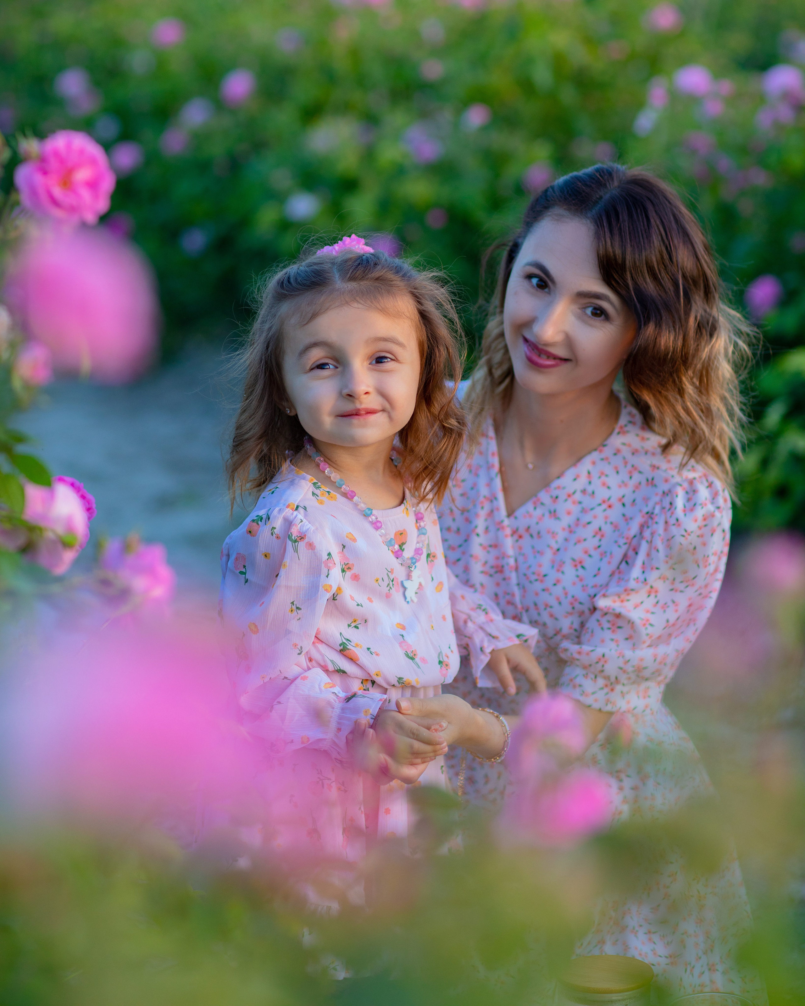 Чайная роза. Фотограф Севастополь/Крым Светлана Евтушенко