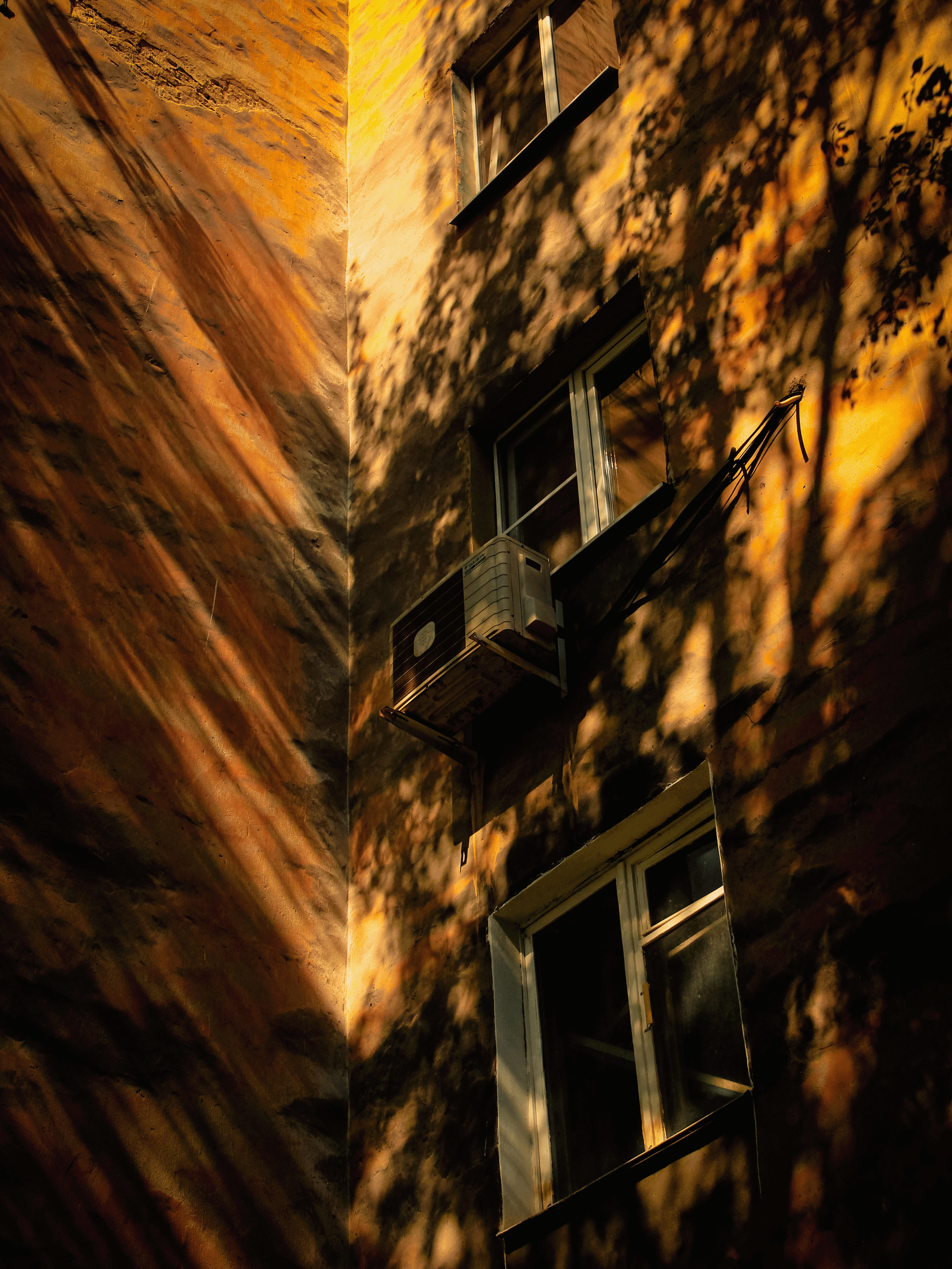 Summertime. Фотограф/дизайнер в Екатеринбурге Хитрый Дмитрий