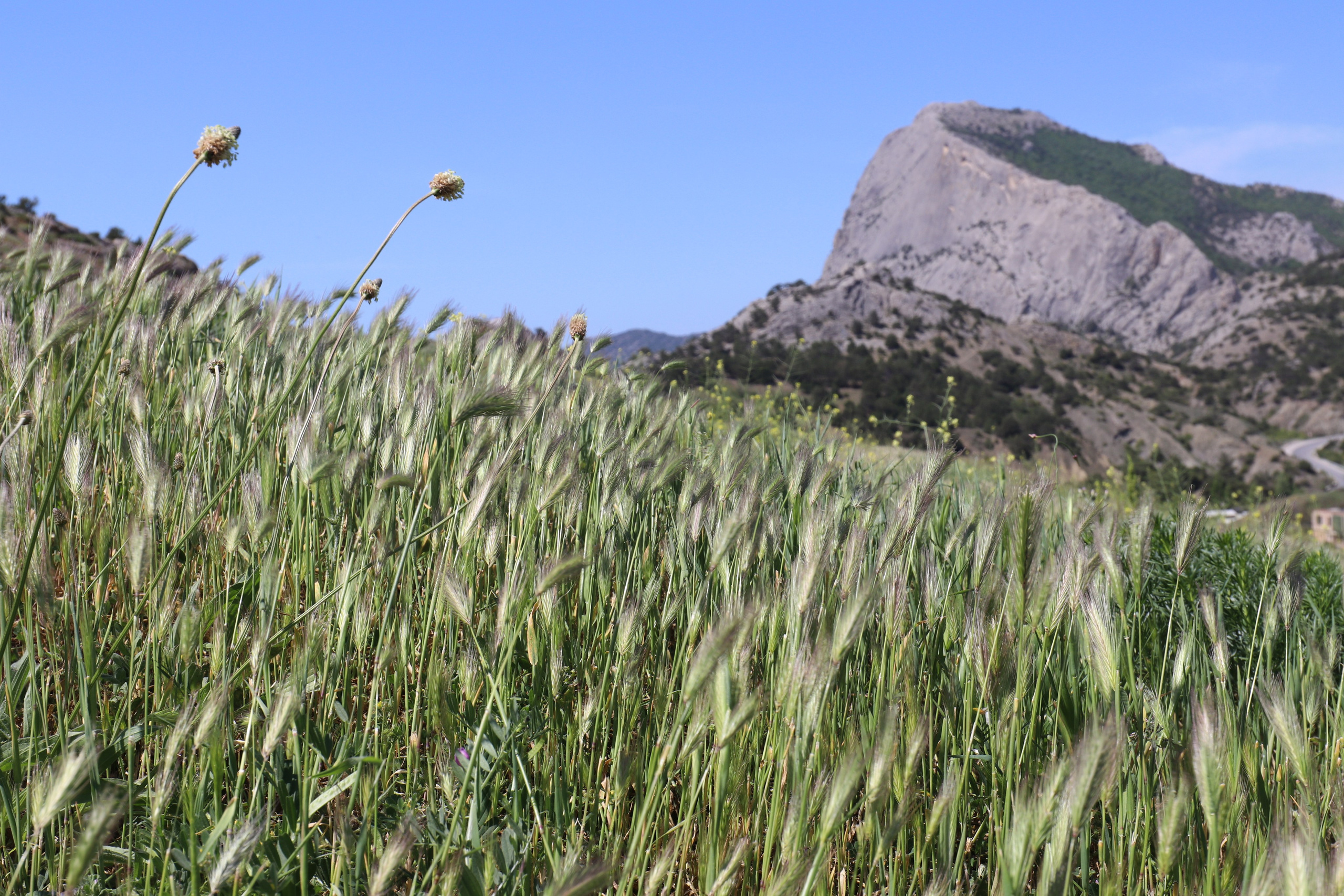 Крым. ЮБК (Бахчисарай, Демерджи, Судак). Первый скалолазный выезд. Май 2019. Путешественник-фотограф из Санкт-Петербурга Татьяна Свистулина