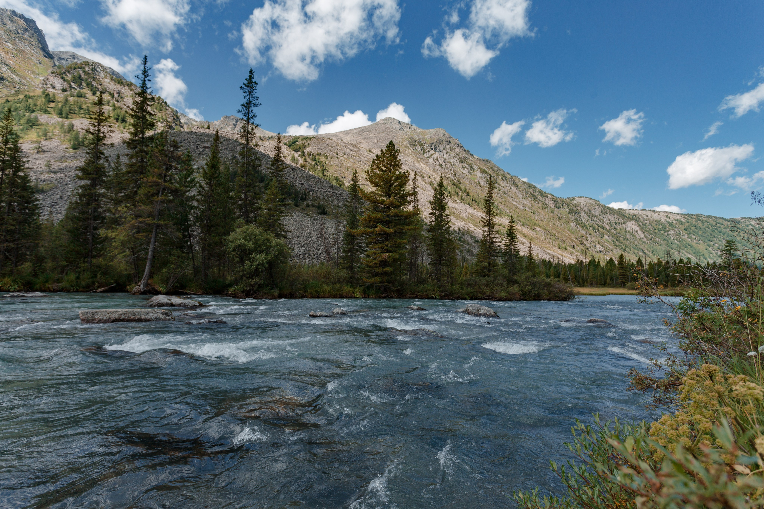 Катунский заповедник, Республика Алтай. Репортажный фотограф в Крыму Ксения Гасица