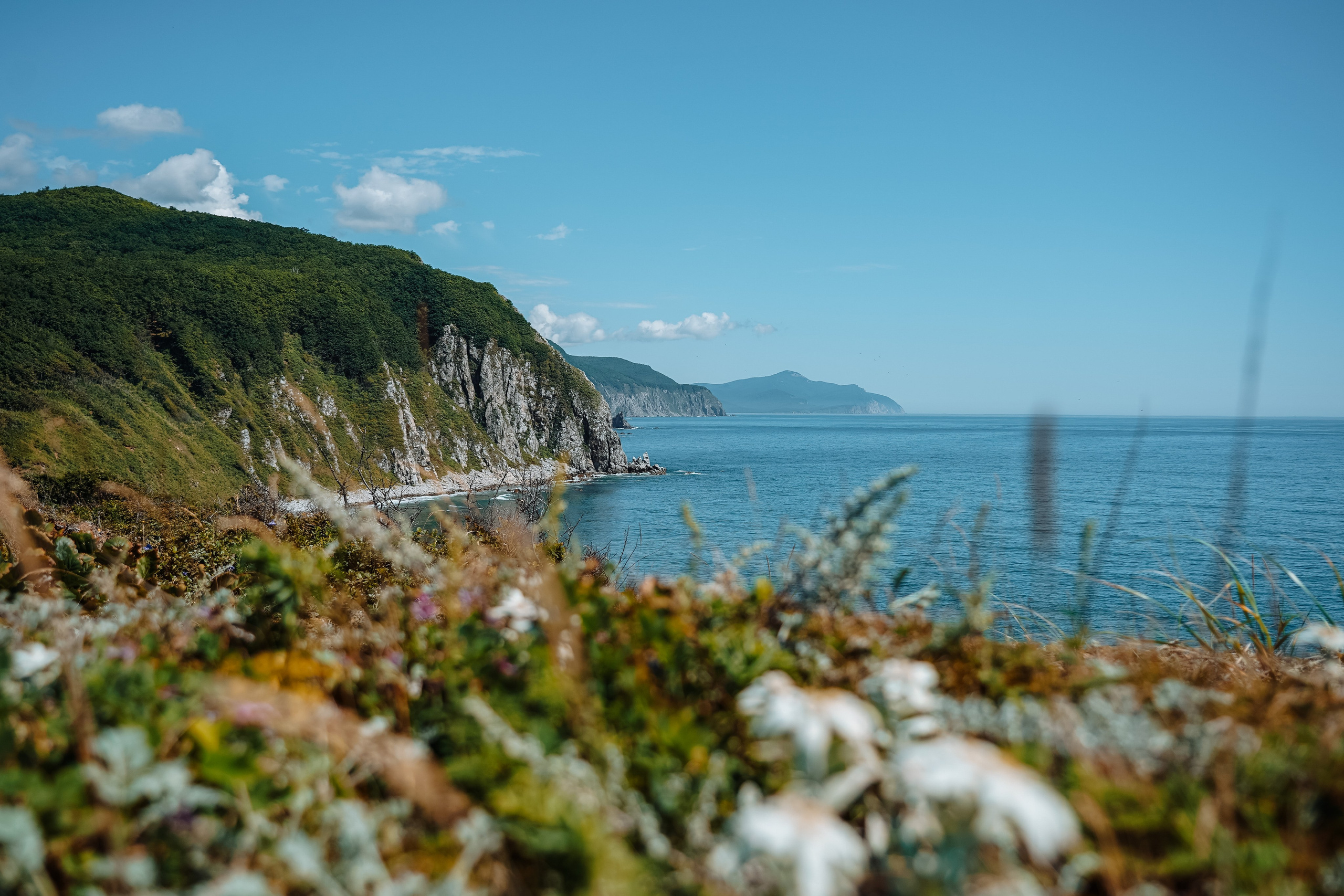 Сихотэ-Алинский заповедник, Приморский край. Репортажный фотограф в Крыму Ксения Гасица