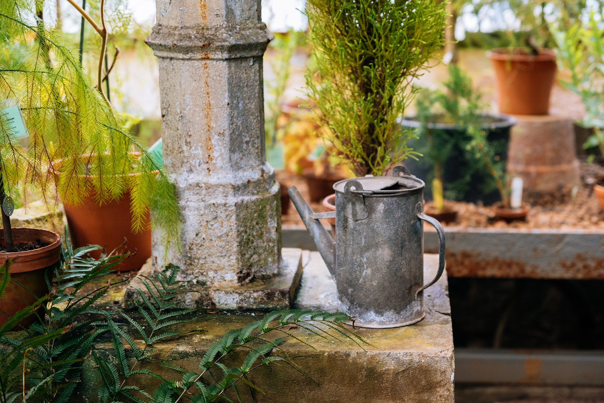 Юлия и Алиса. Прогулка в ботаническом саду. Репортажный фотограф в Санкт-Петербурге Анастасия Клёпова