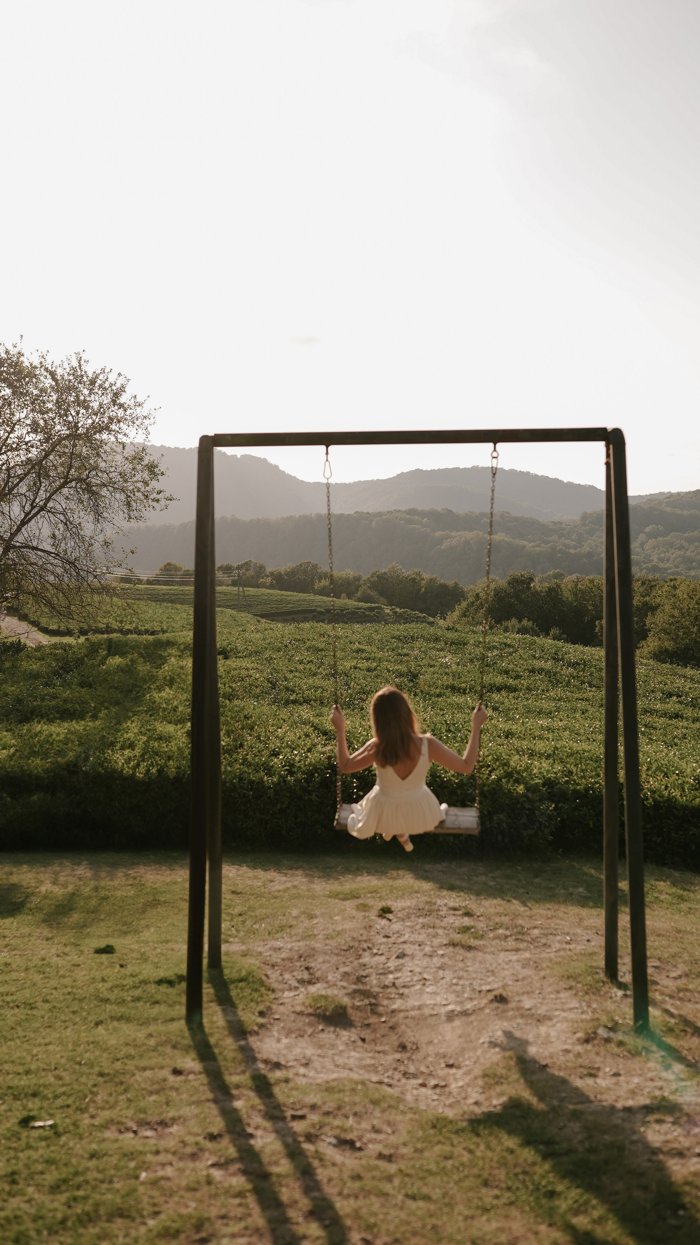Чайные плантации. Милана Довгаль - семейный фотограф и видеограф  в Адлере и Сочи