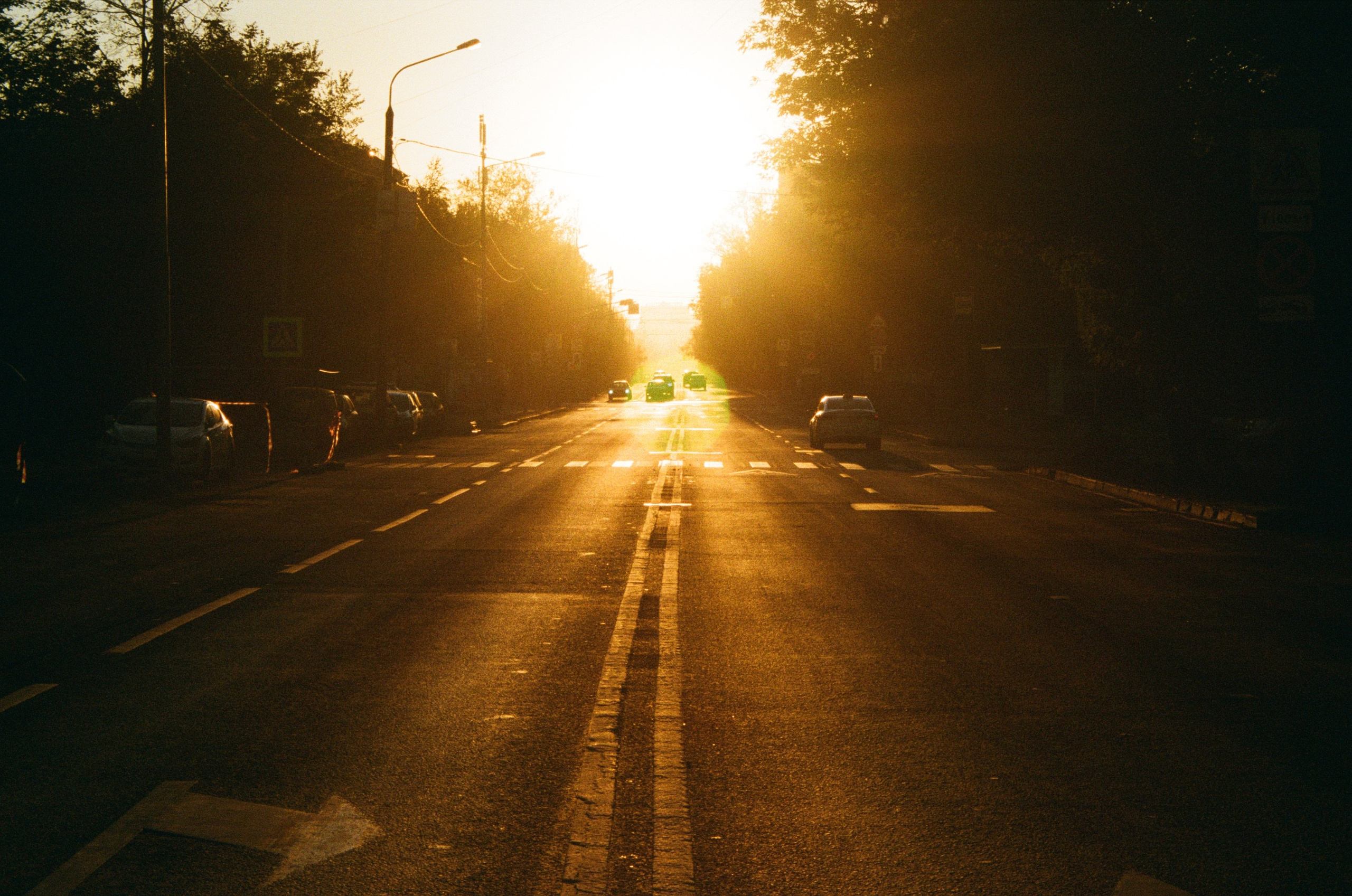 Пленка. Главная