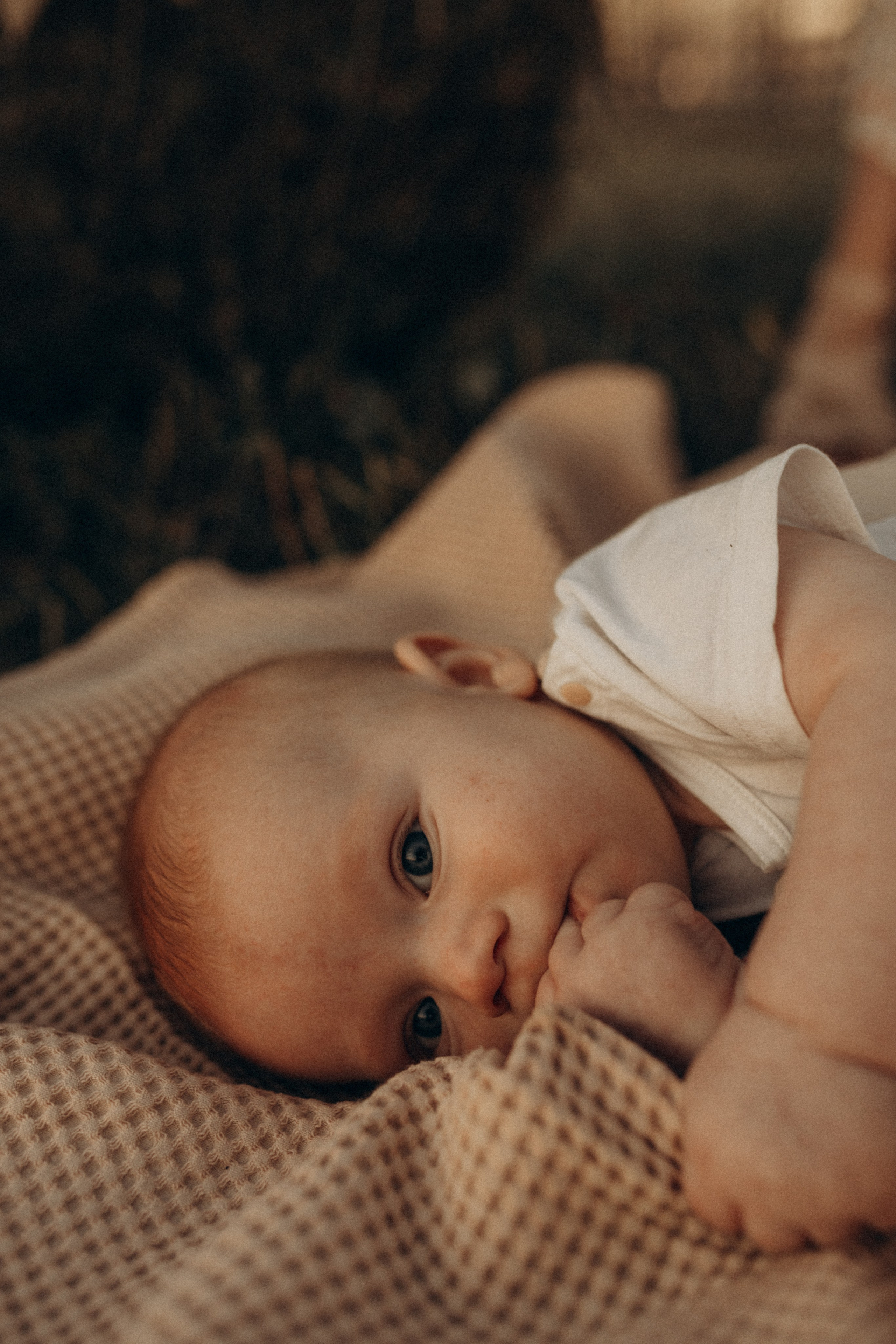 Семейная фотосессия. Летние закаты. Фотограф в Ставрополе Svetlana Matveeva