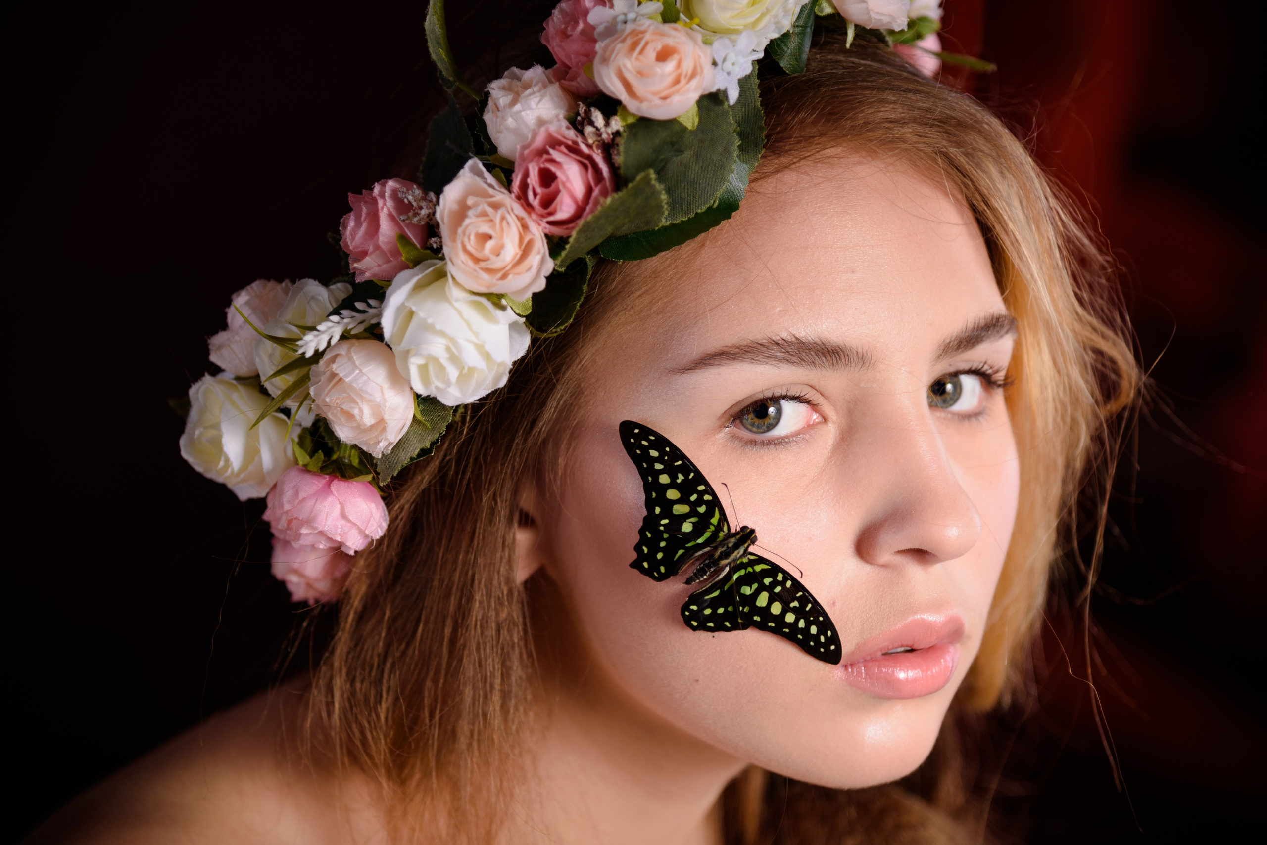 Бабоки. Фотограф Галина Нестерова