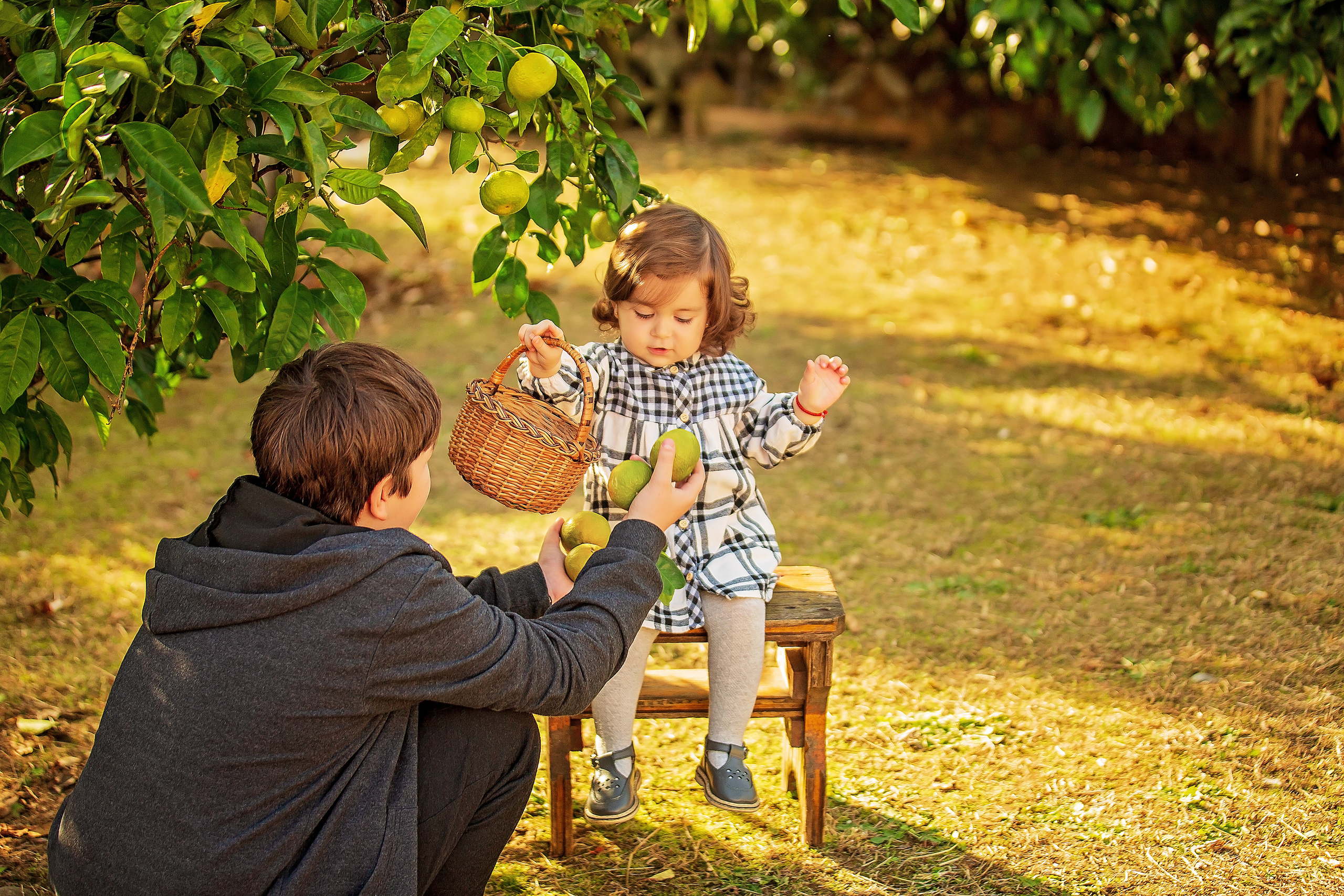 Фотоистория Миры, о том, как она собирала мандаринки…. Свадебный и семейный фотограф в Абхазии Эля Цишба