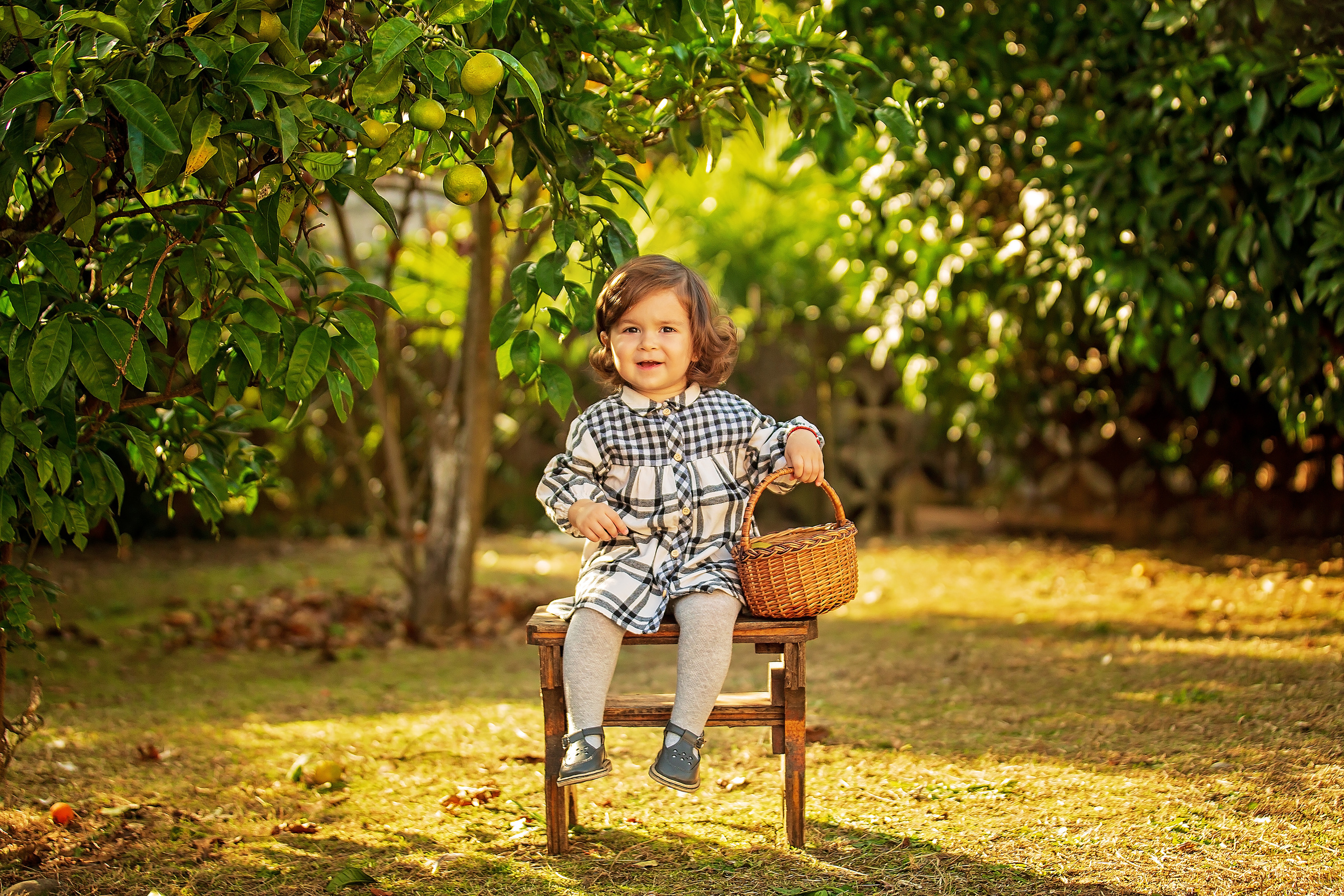 Фотоистория Миры, о том, как она собирала мандаринки…. Свадебный и семейный фотограф в Абхазии Эля Цишба