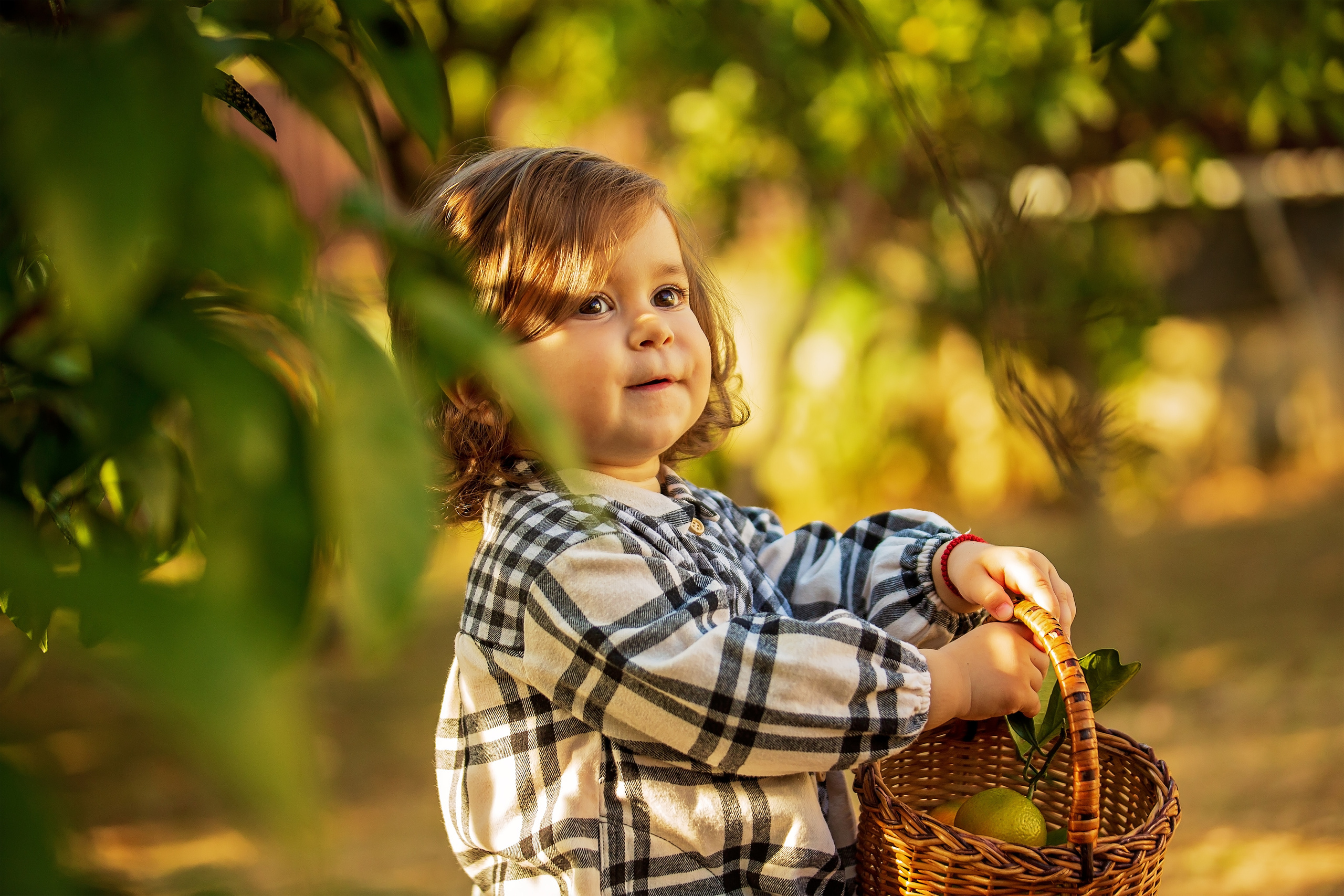 Фотоистория Миры, о том, как она собирала мандаринки…. Свадебный и семейный фотограф в Абхазии Эля Цишба