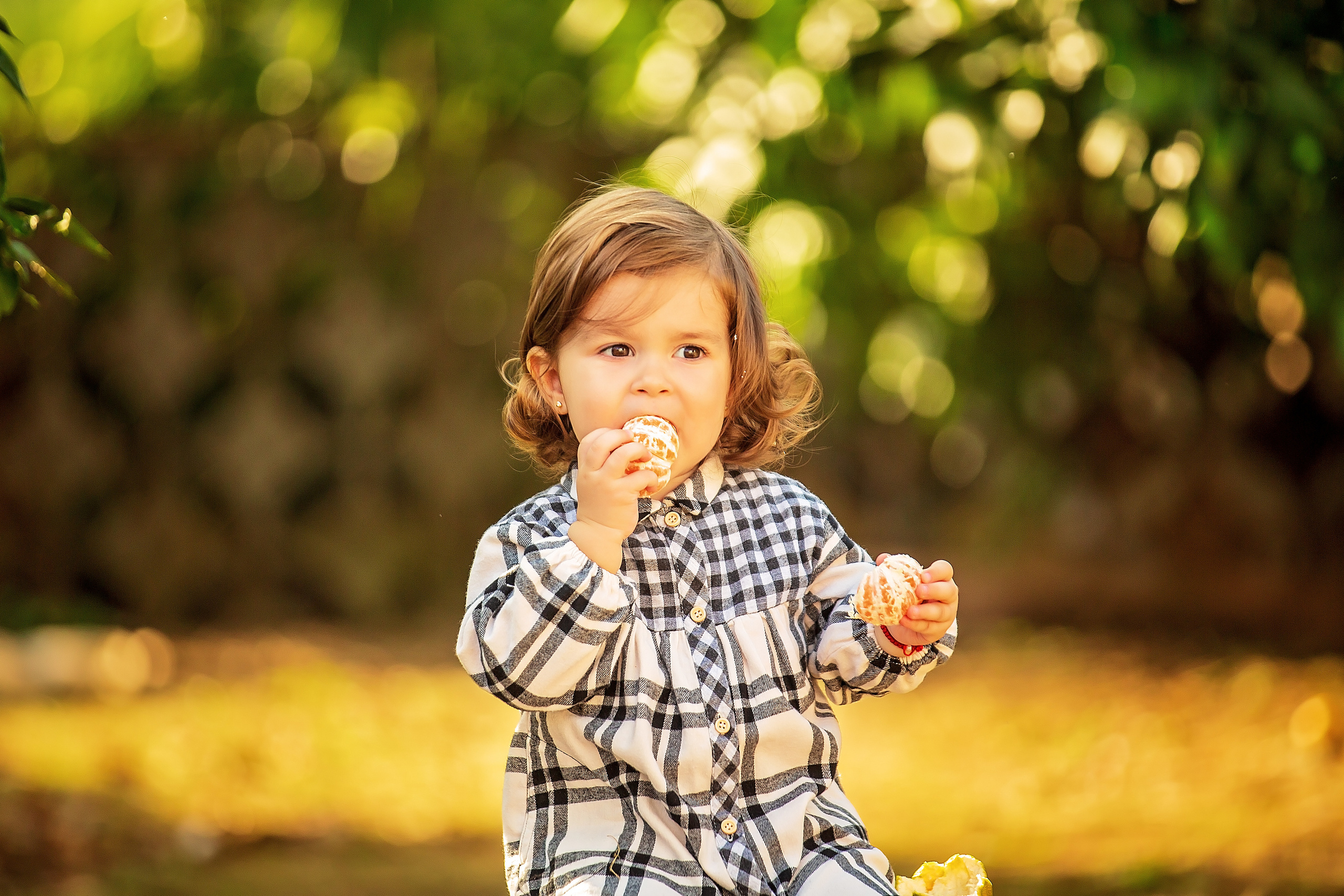 Фотоистория Миры, о том, как она собирала мандаринки…. Свадебный и семейный фотограф в Абхазии Эля Цишба
