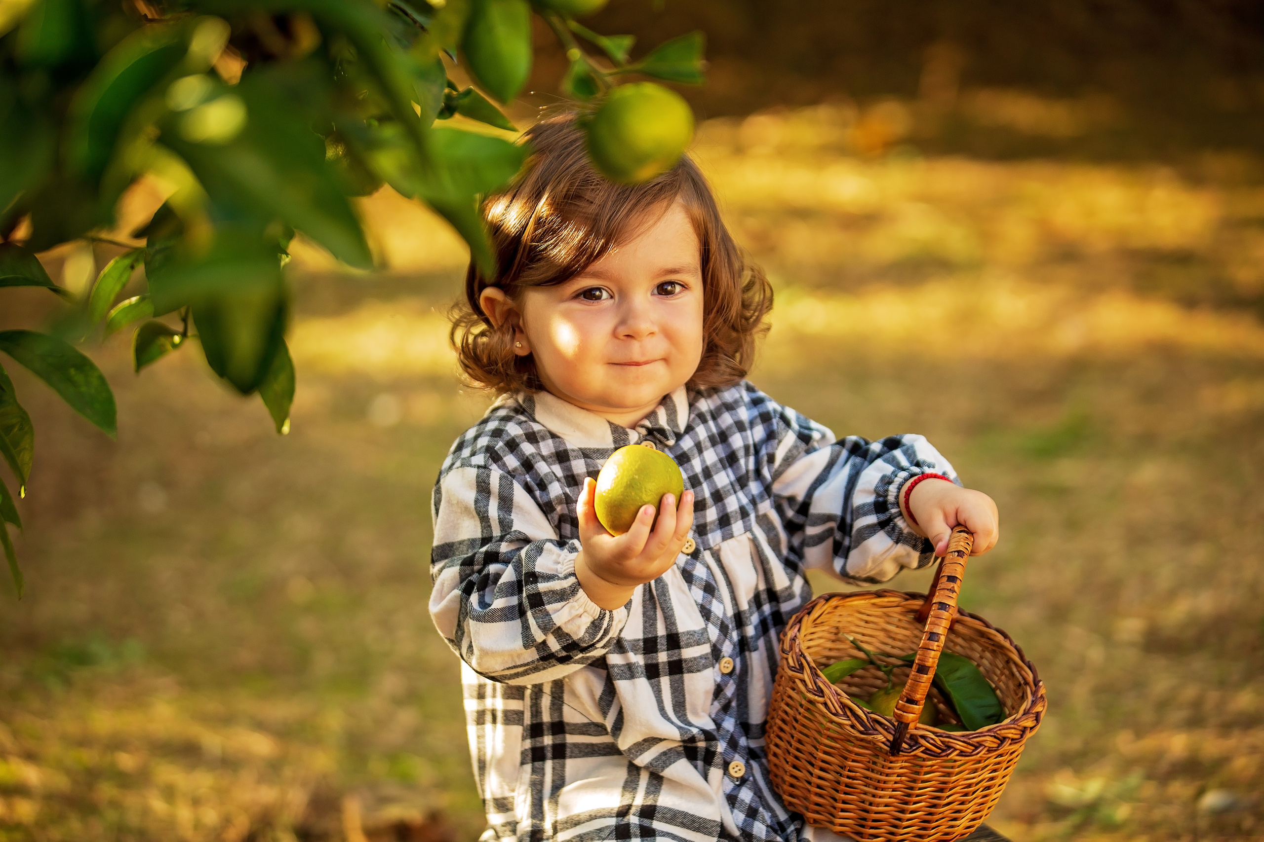 Фотоистория Миры, о том, как она собирала мандаринки…. Свадебный и семейный фотограф в Абхазии Эля Цишба