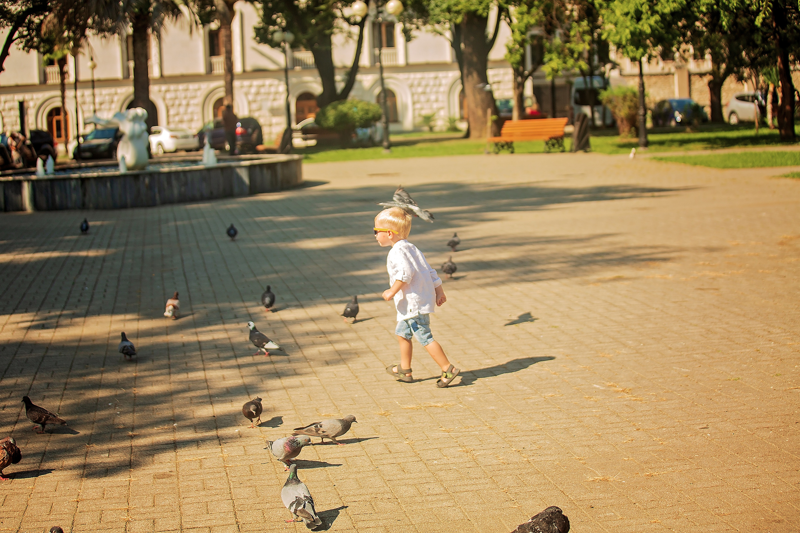 Прогулка по Сухумской Набережной. Свадебный и семейный фотограф в Абхазии Эля Цишба