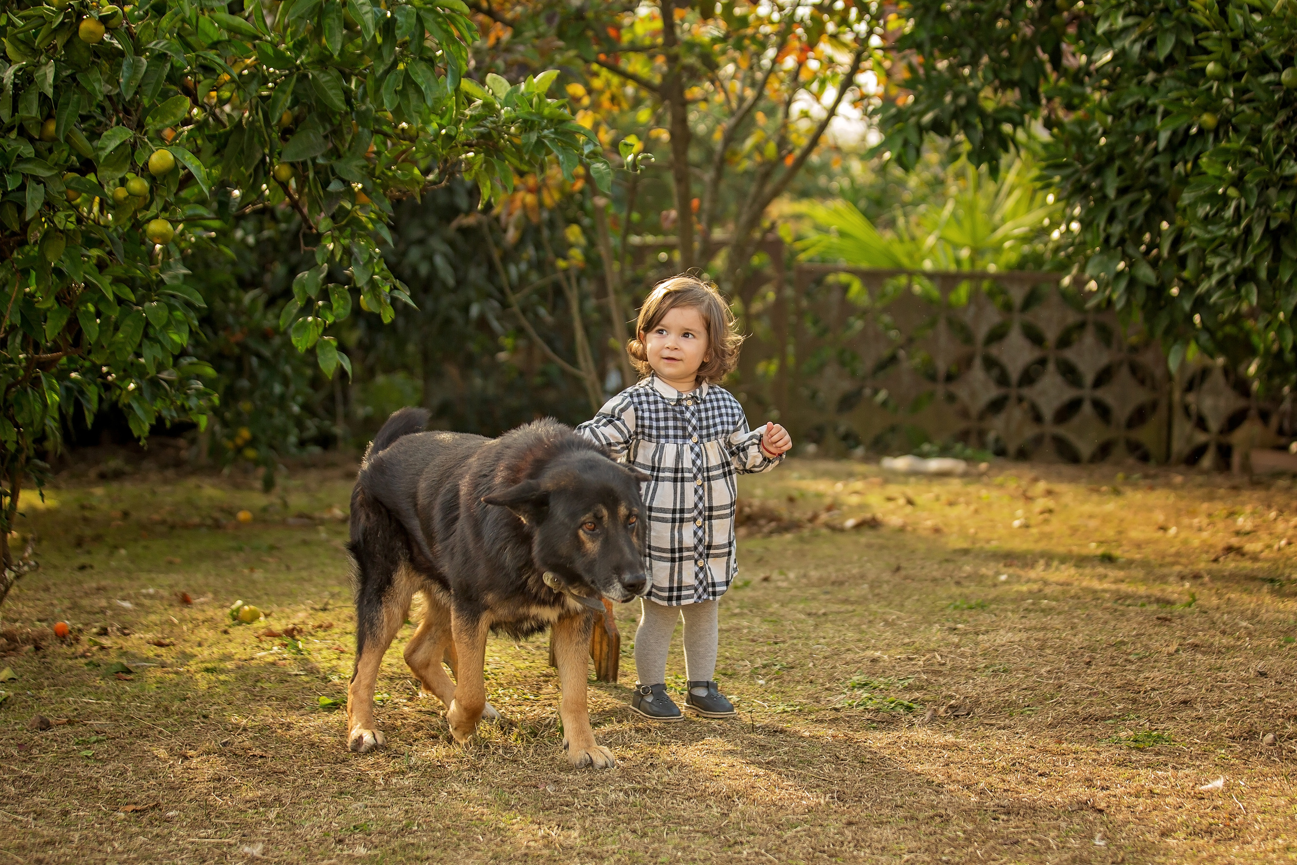 Фотоистория Миры, о том, как она собирала мандаринки…. Свадебный и семейный фотограф в Абхазии Эля Цишба