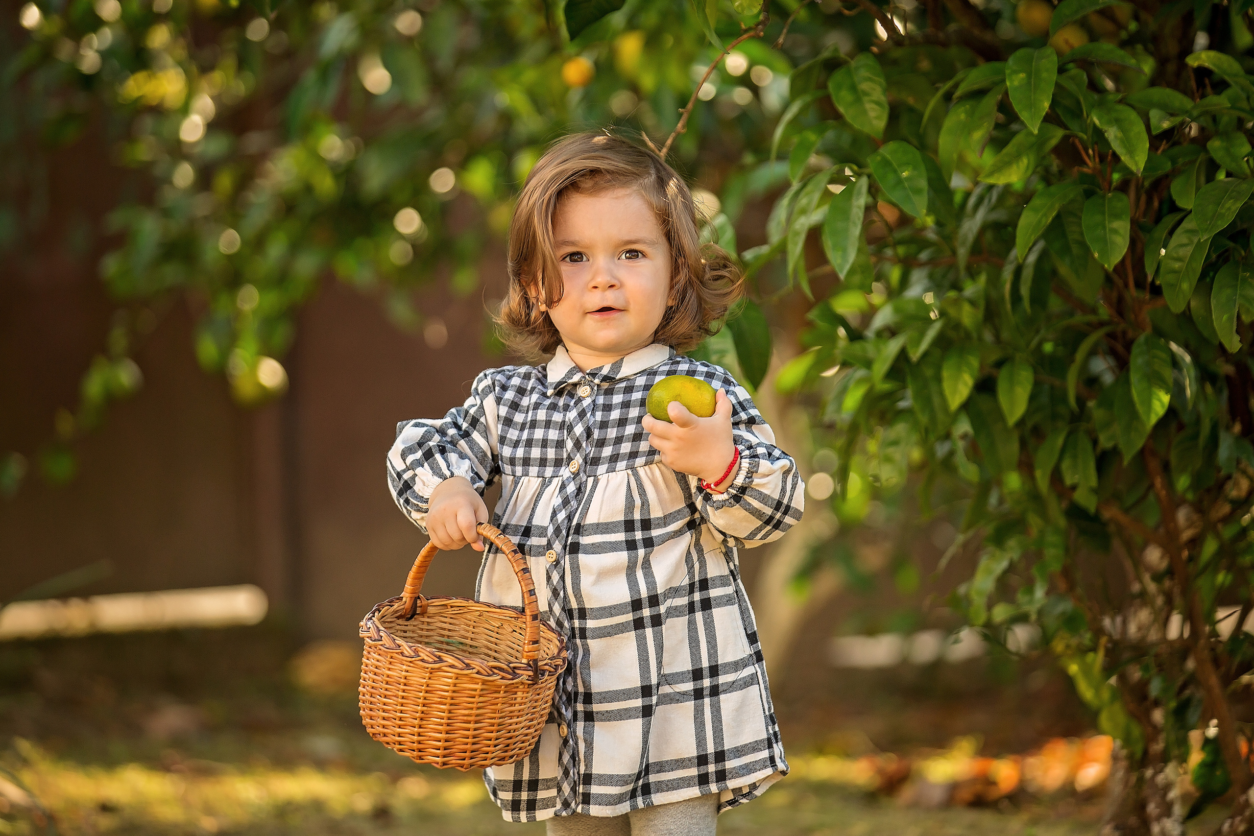 Фотоистория Миры, о том, как она собирала мандаринки…. Свадебный и семейный фотограф в Абхазии Эля Цишба