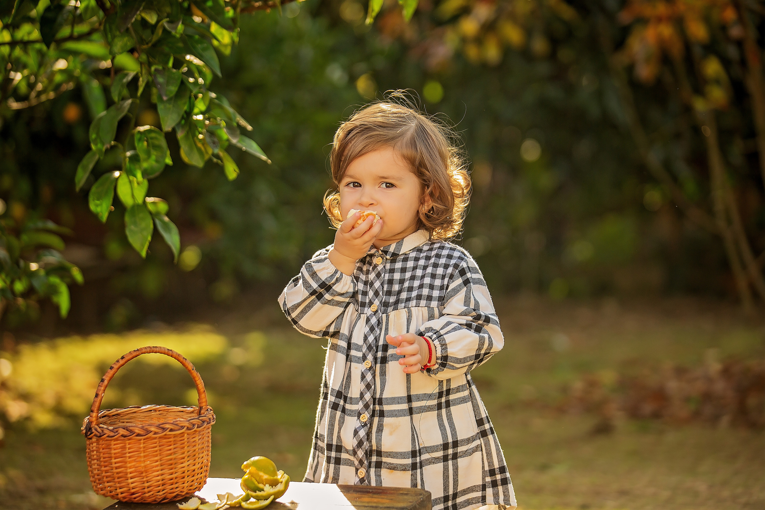 Фотоистория Миры, о том, как она собирала мандаринки…. Свадебный и семейный фотограф в Абхазии Эля Цишба