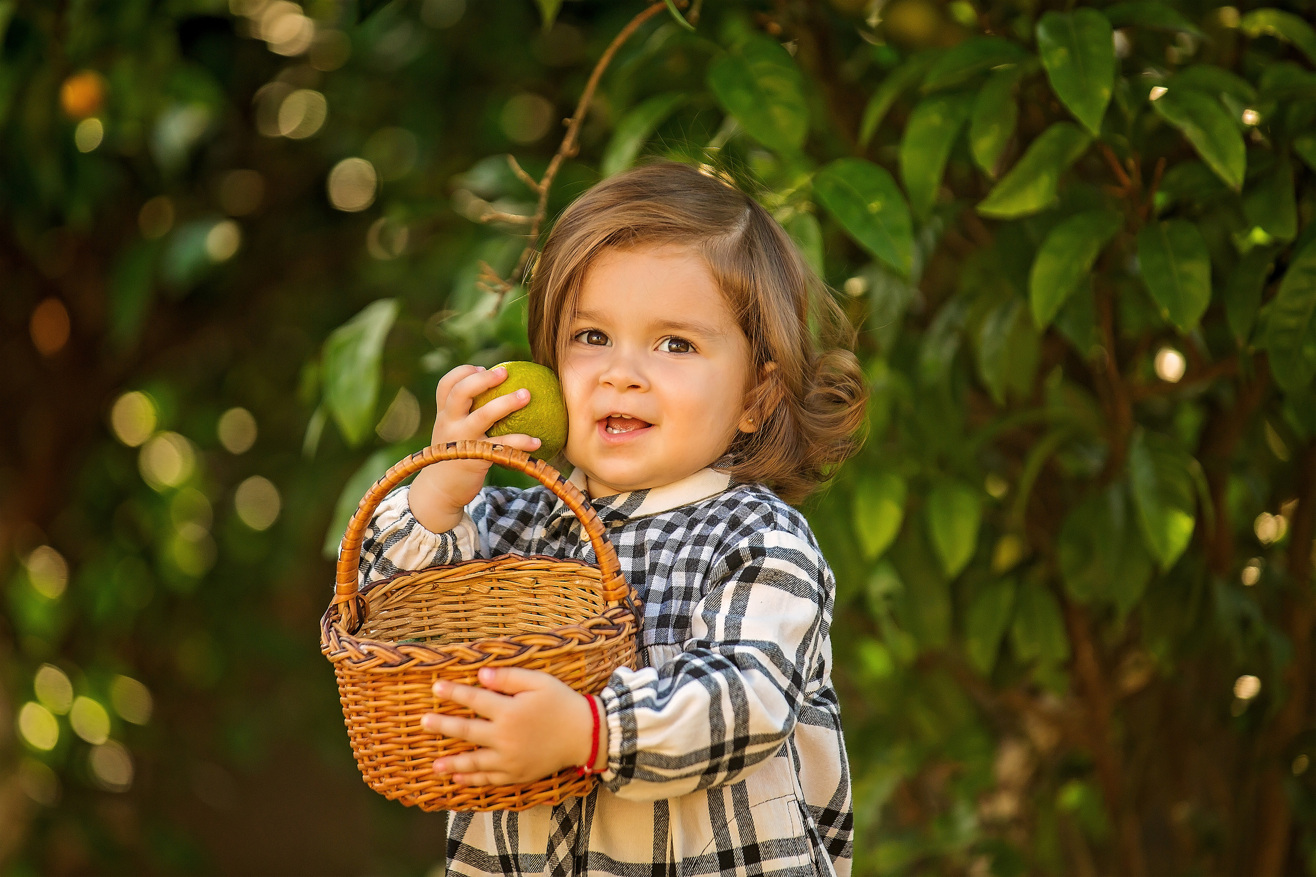 Фотоистория Миры, о том, как она собирала мандаринки…. Свадебный и семейный фотограф в Абхазии Эля Цишба