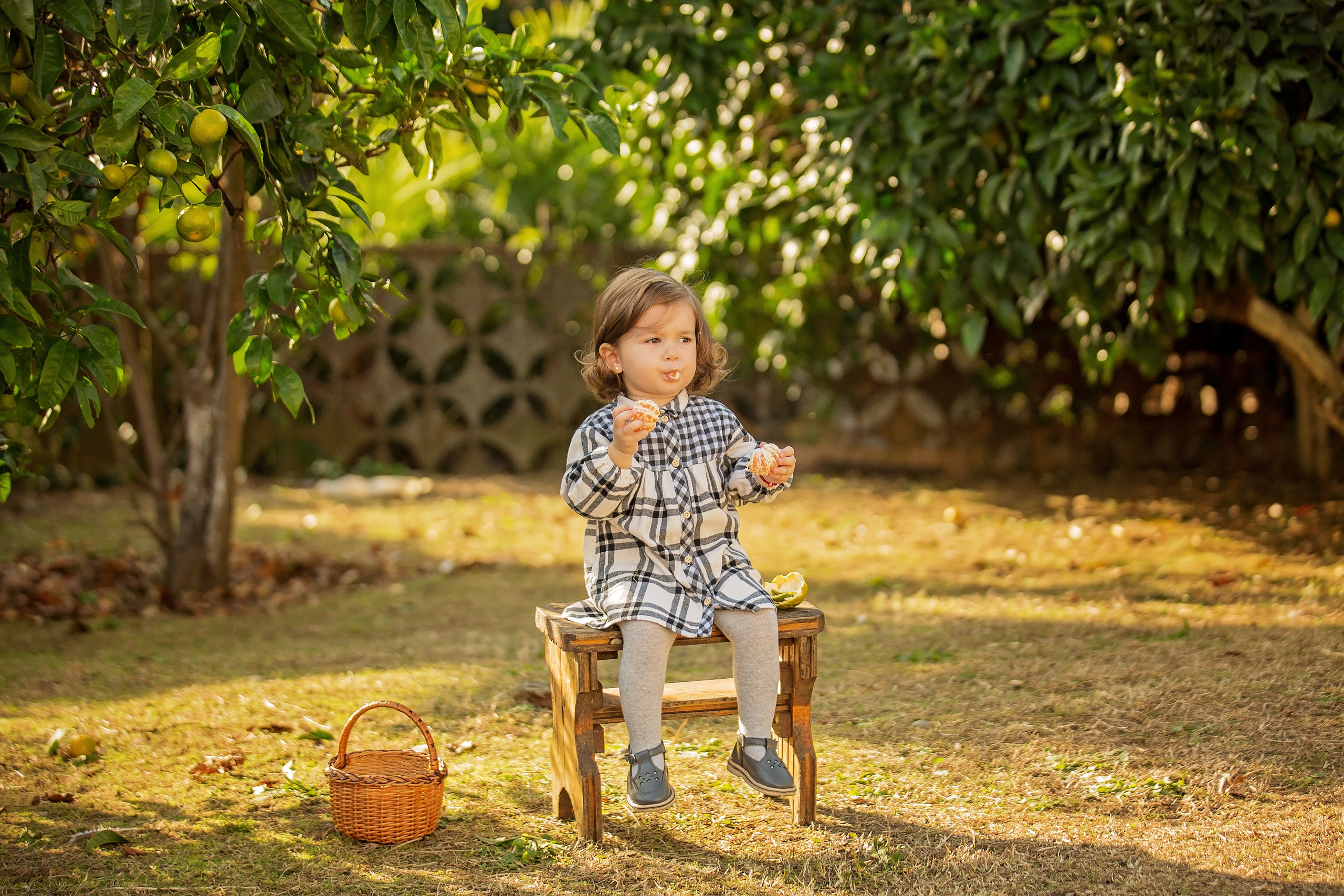 Фотоистория Миры, о том, как она собирала мандаринки…. Свадебный и семейный фотограф в Абхазии Эля Цишба