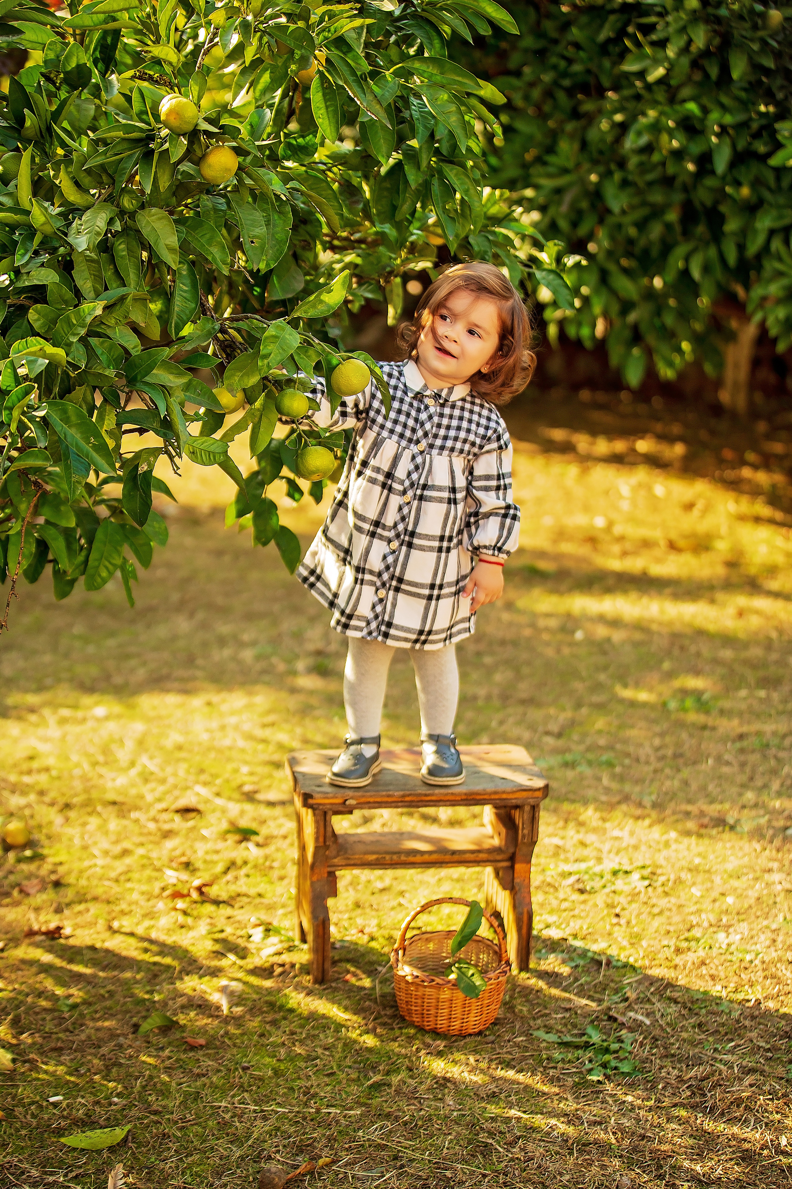 Фотоистория Миры, о том, как она собирала мандаринки…. Свадебный и семейный фотограф в Абхазии Эля Цишба
