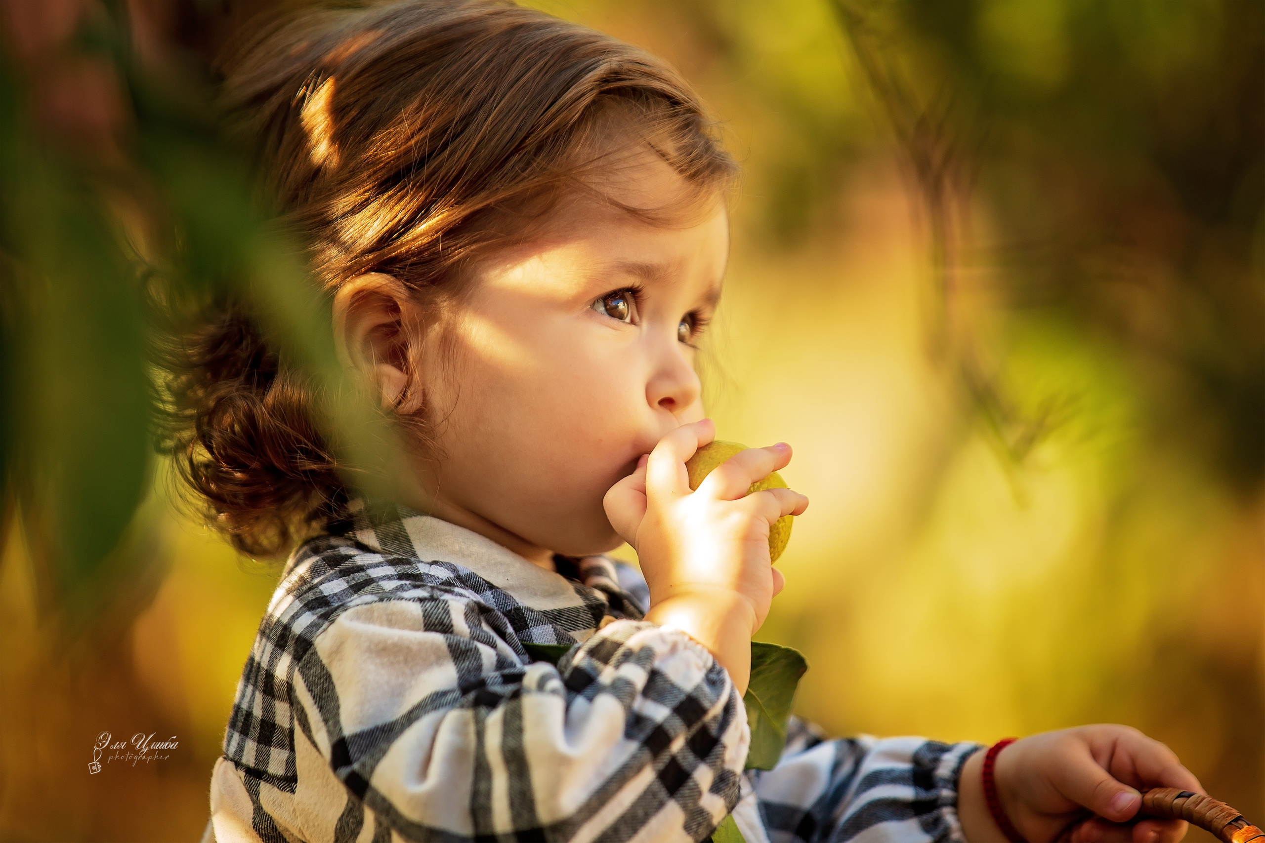 Фотоистория Миры, о том, как она собирала мандаринки…. Свадебный и семейный фотограф в Абхазии Эля Цишба