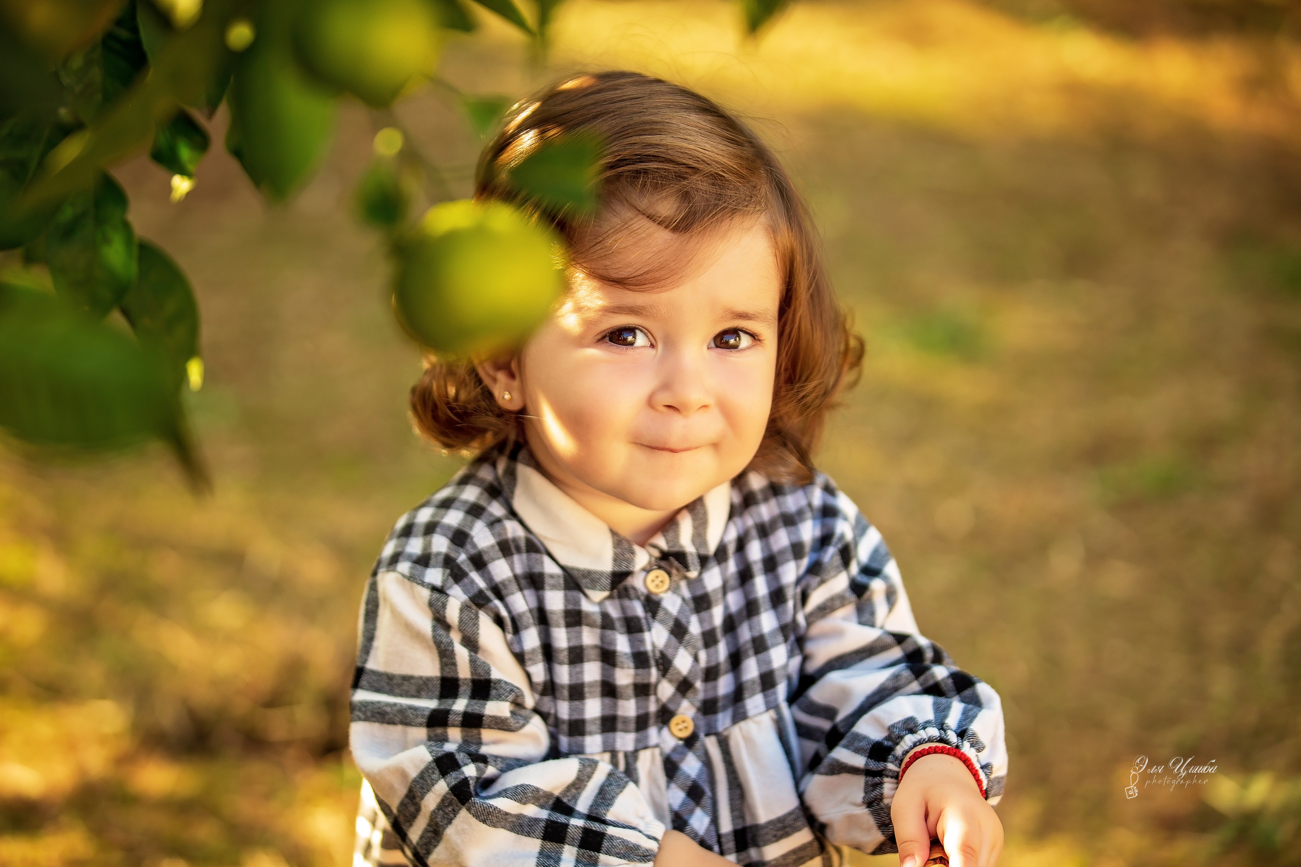 Фотоистория Миры, о том, как она собирала мандаринки…. Свадебный и семейный фотограф в Абхазии Эля Цишба