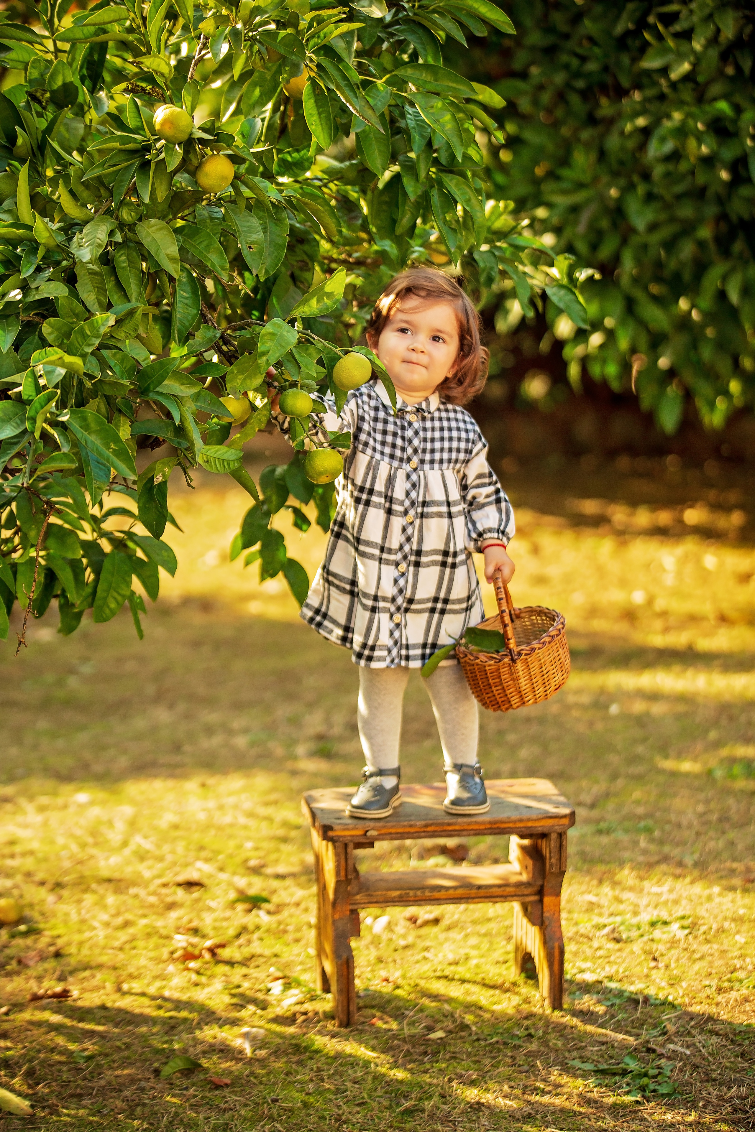 Фотоистория Миры, о том, как она собирала мандаринки…. Свадебный и семейный фотограф в Абхазии Эля Цишба