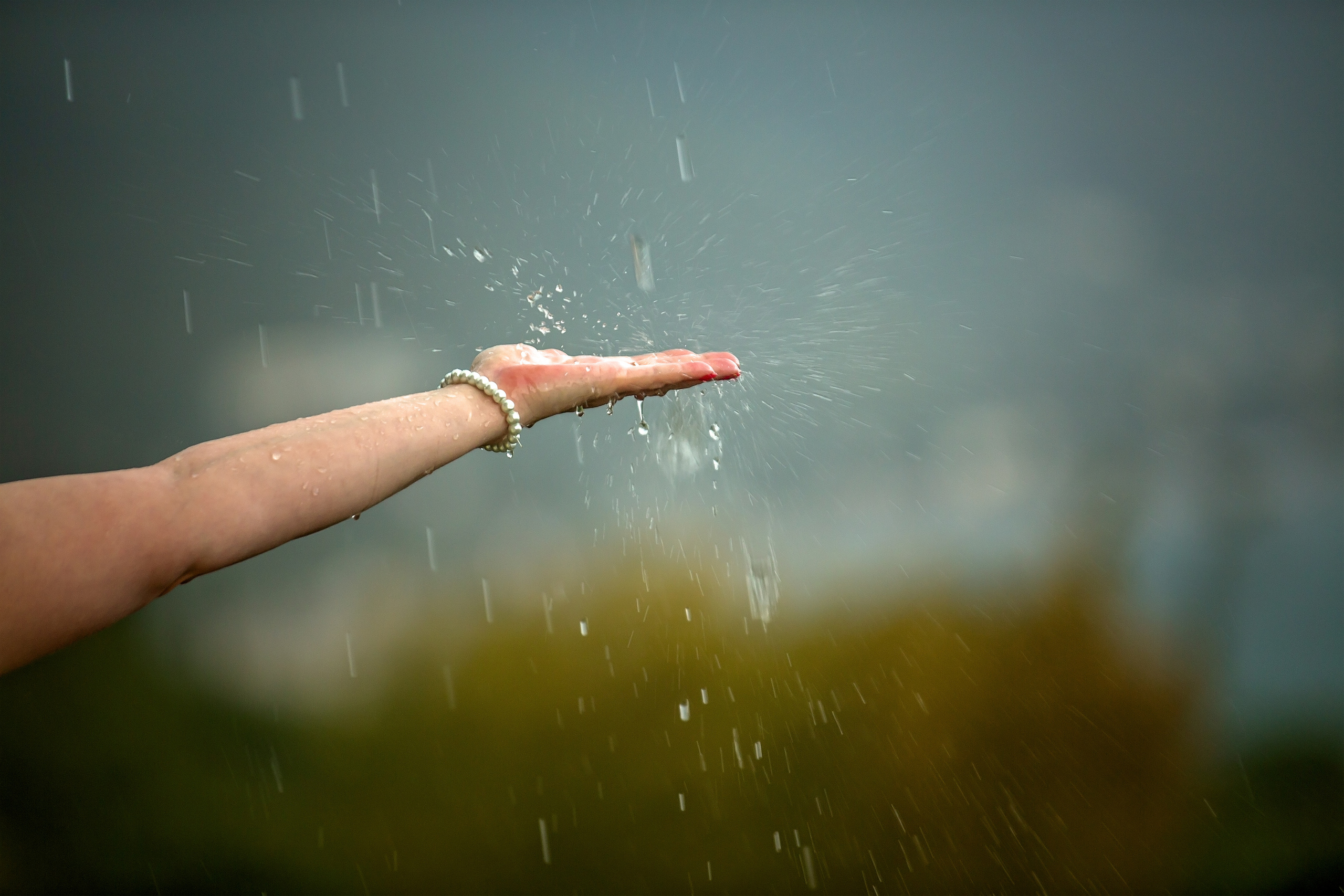 Ольга. Свадебный и семейный фотограф в Абхазии Эля Цишба
