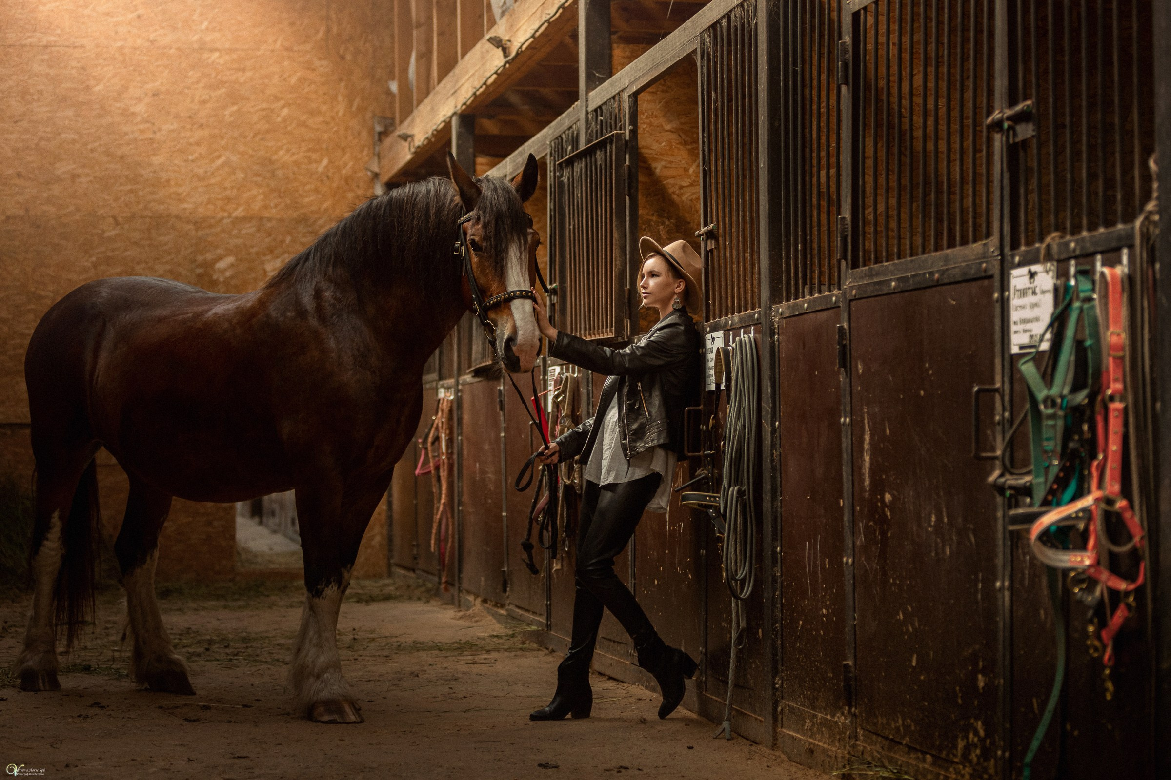 Фотосессия в кантри-стиле с лошадьми