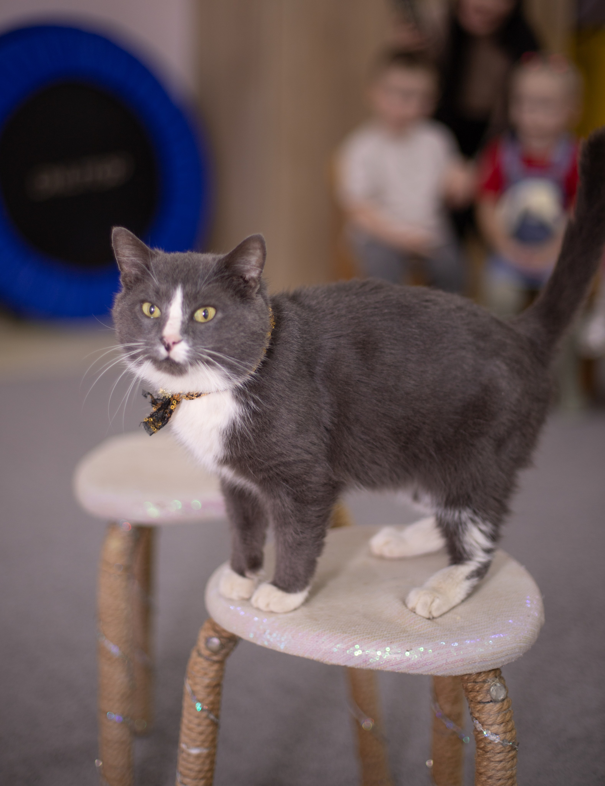 Репортажные съемки. Лучший фотограф Краснодара (по версии моей мамы)