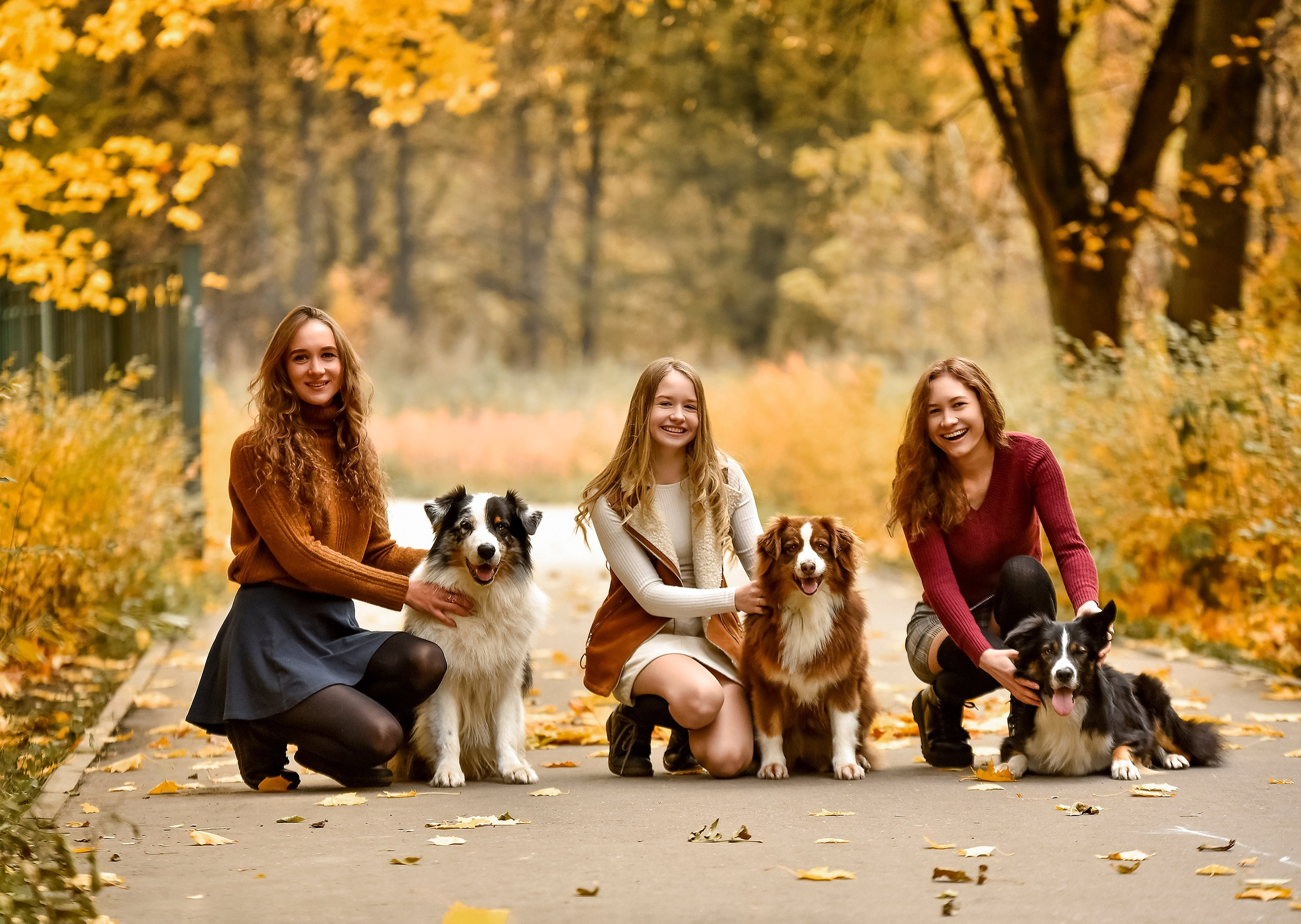 Фотопрогулка, семейная съемка, фотосессия с друзьями, фотосессия с питомцем, собака